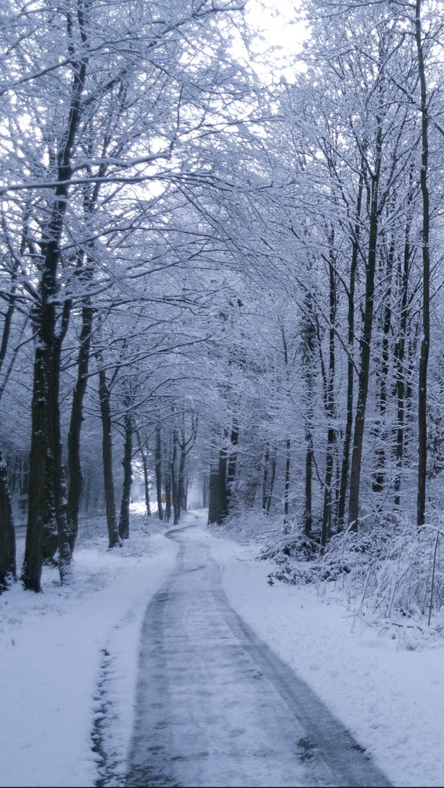 Baixar papel de parede para celular de Inverno, Terra/natureza gratuito.