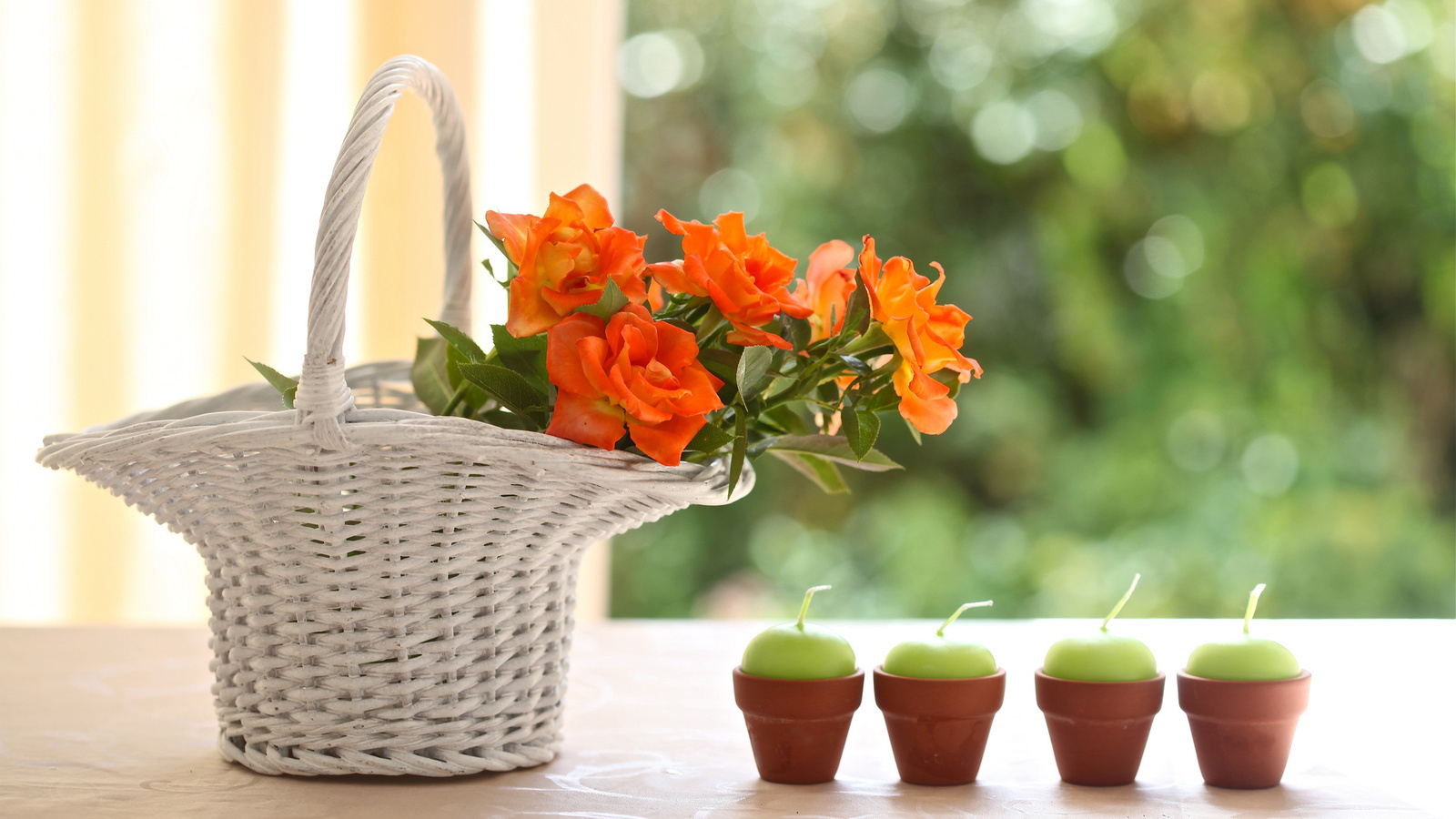 Завантажити шпалери безкоштовно Квіти, Свічки, Рослини, Букети картинка на робочий стіл ПК