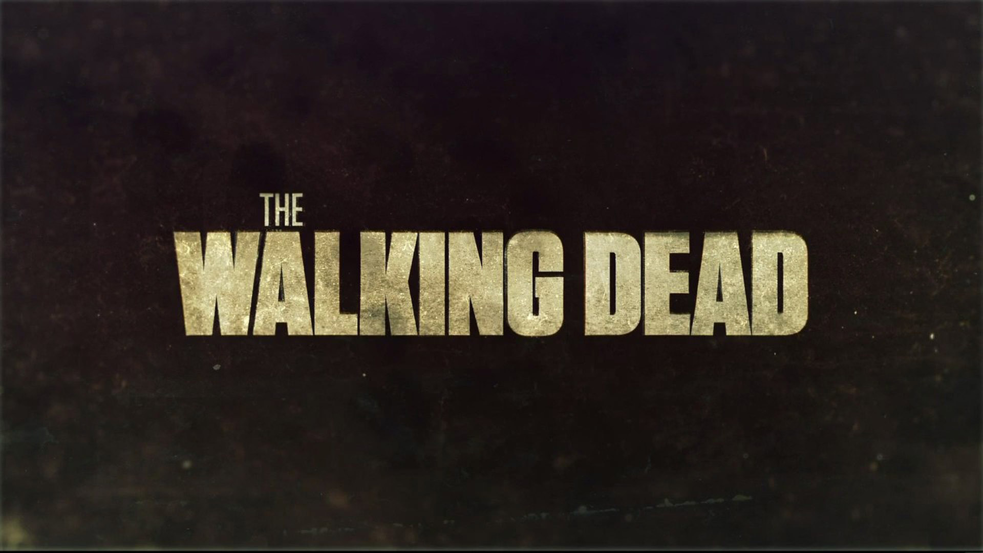 the walking dead, tv show