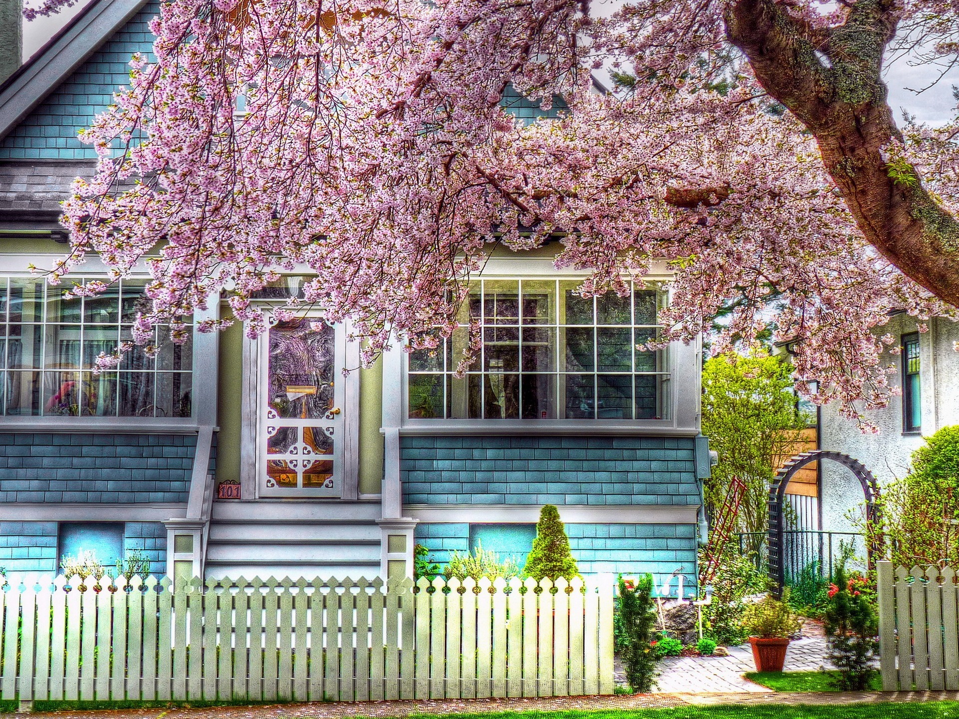 house, cities, wood, tree, bloom, flowering, fence, hdr, spring