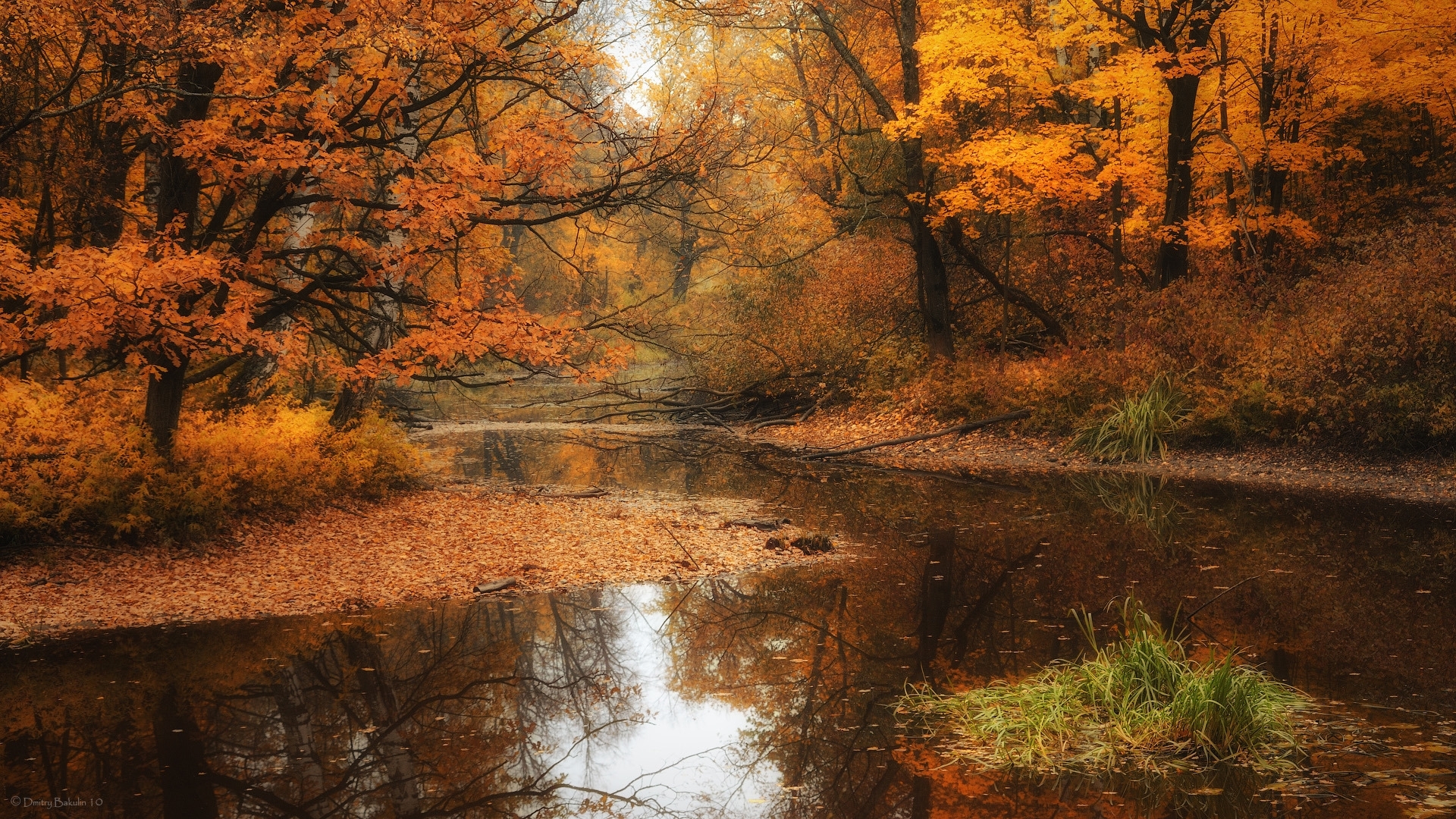Скачать обои бесплатно Природа, Осень, Пейзаж картинка на рабочий стол ПК