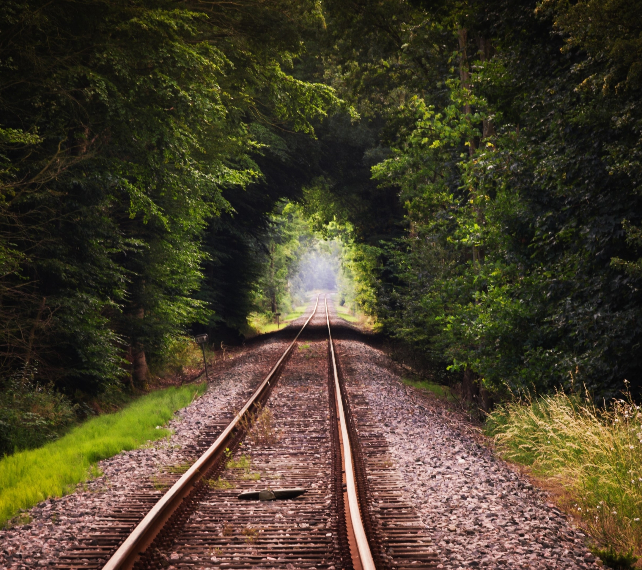 Laden Sie das Natur, Eisenbahn, Menschengemacht-Bild kostenlos auf Ihren PC-Desktop herunter