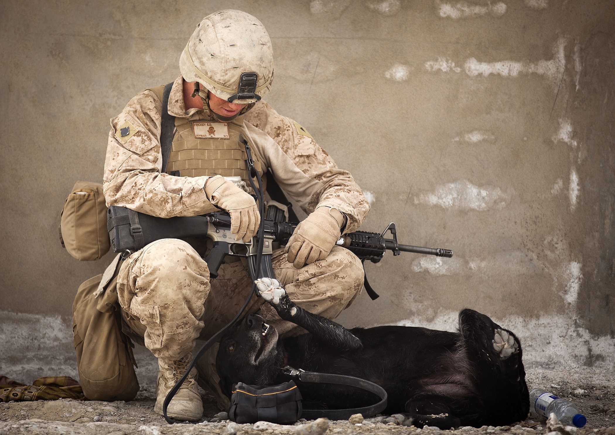 Скачать картинку Собака, Солдат, Пистолет, Военные, Винтовка в телефон бесплатно.