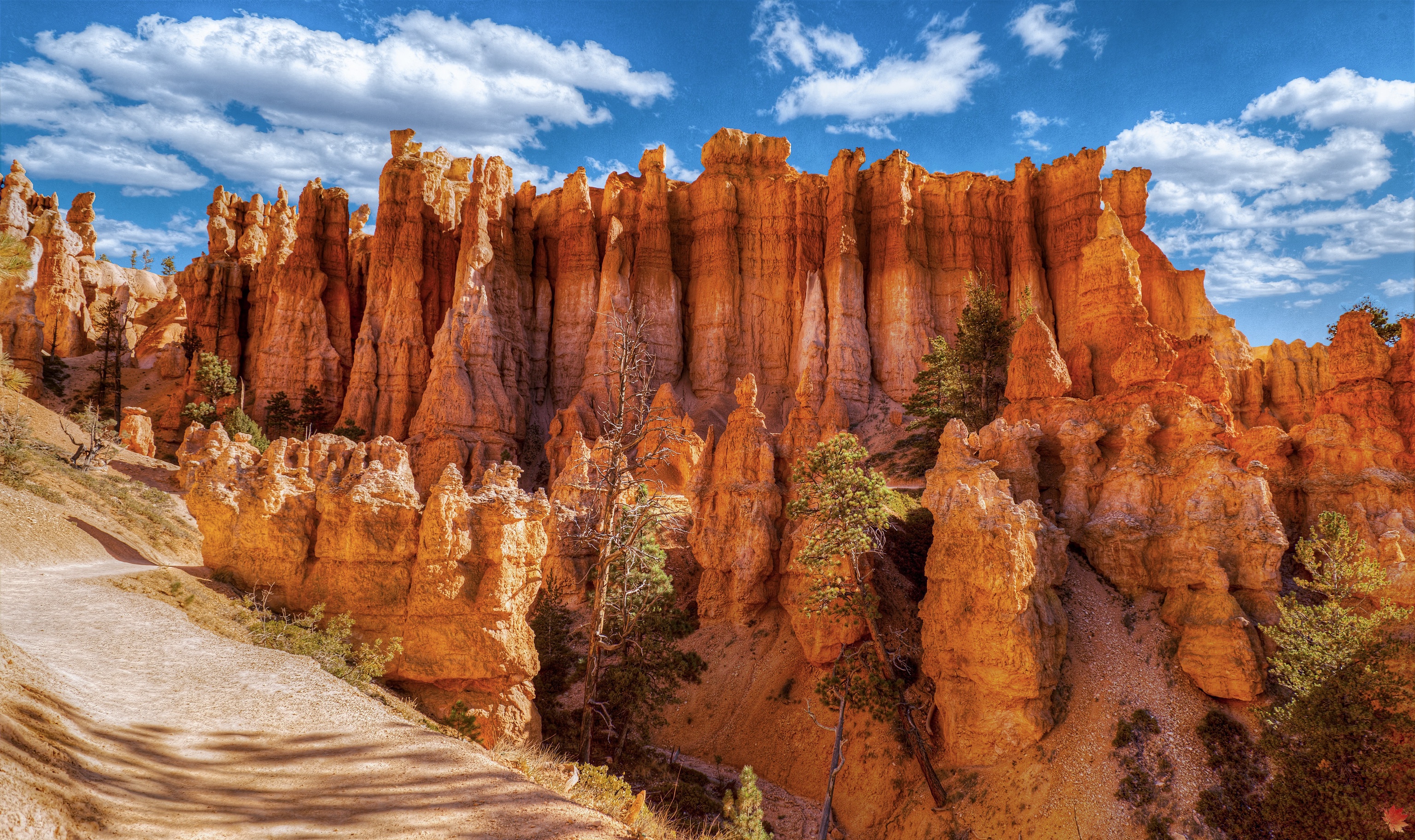 Download mobile wallpaper Canyon, Mountain, Earth, National Park, Bryce Canyon National Park for free.