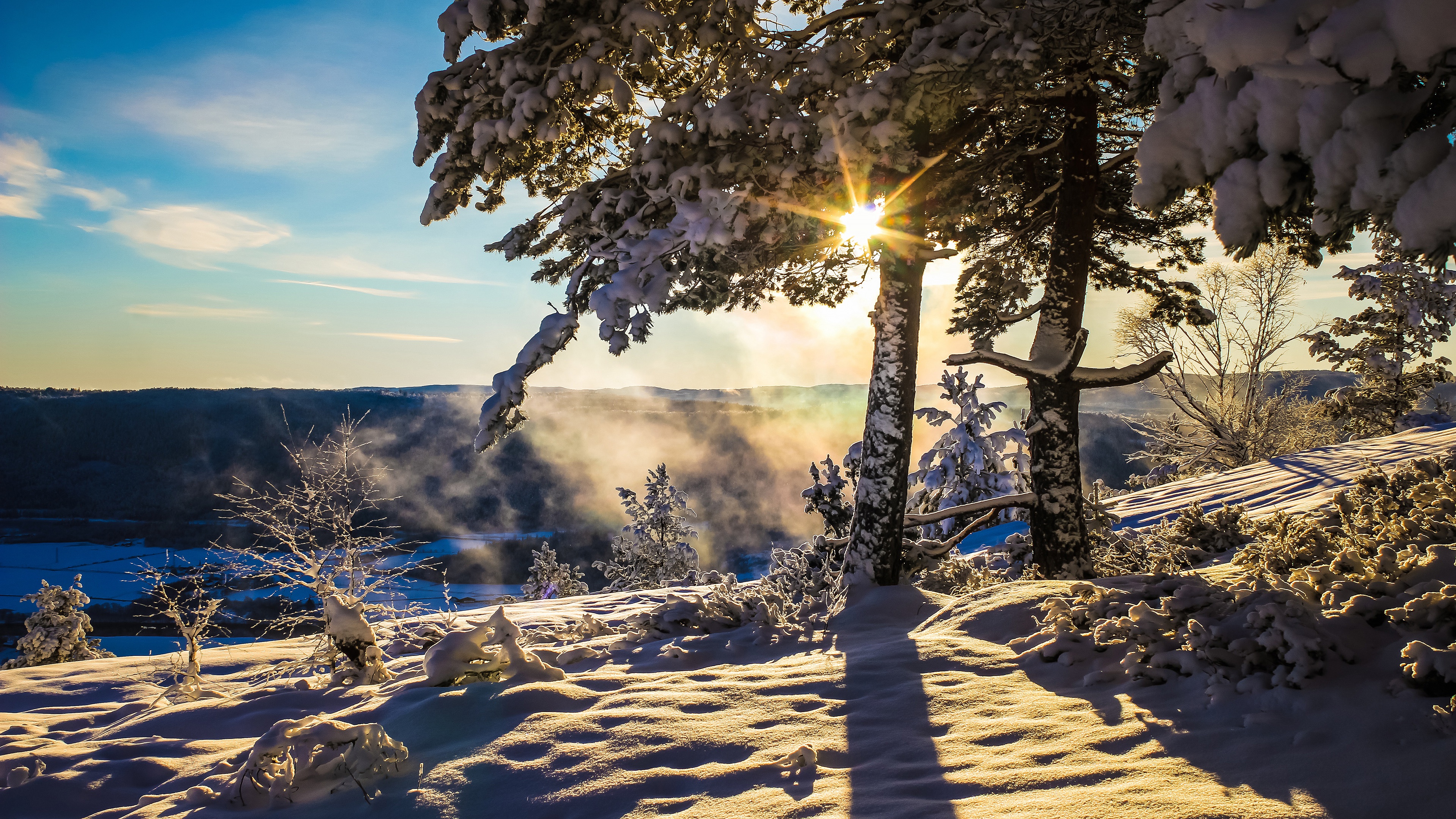 Baixe gratuitamente a imagem Inverno, Sol, Neve, Árvore, Terra/natureza, Raio Solar na área de trabalho do seu PC