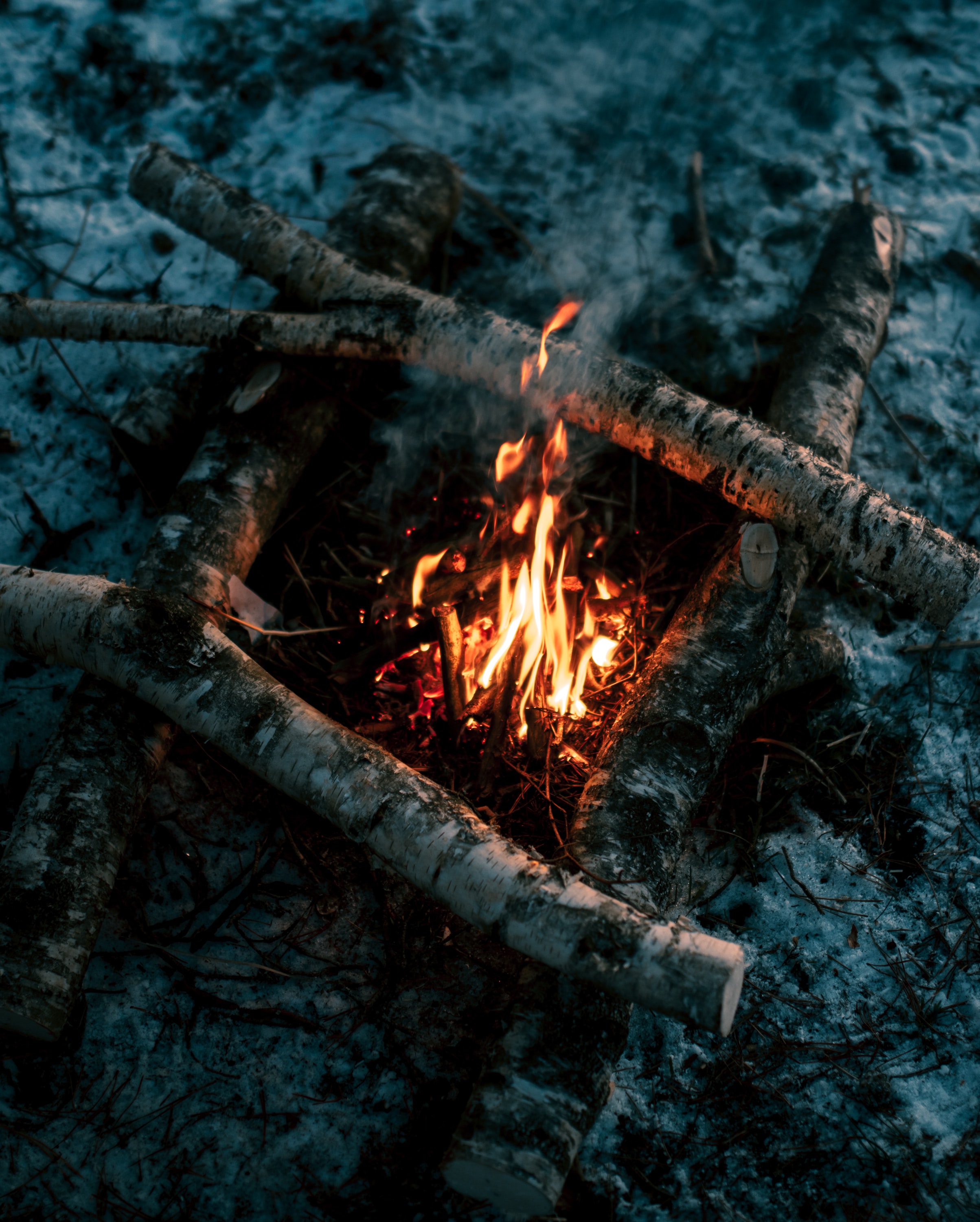nature, fire, bonfire, flame, firewood