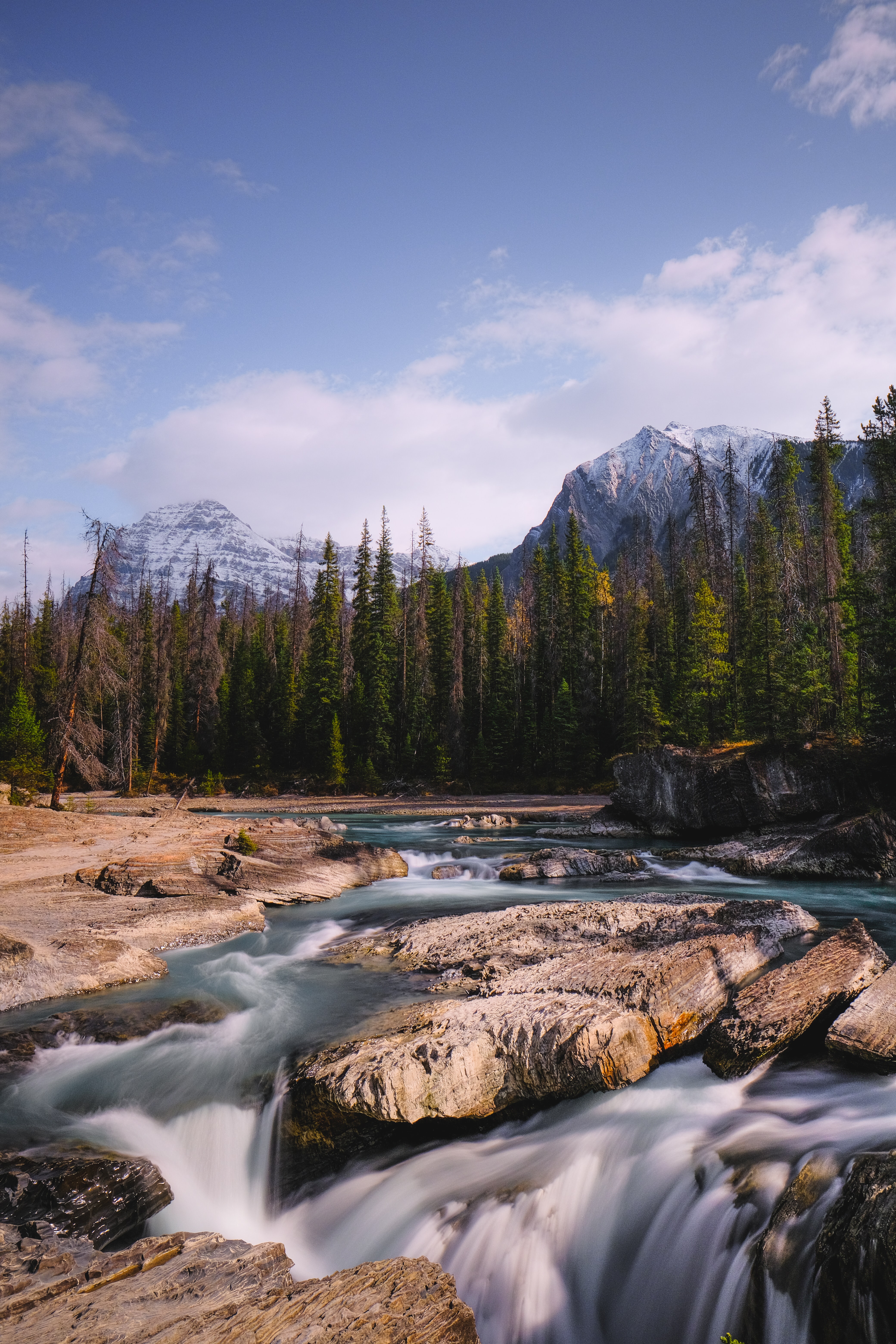 stones, nature, mountains, trees, flow, stream High Definition image