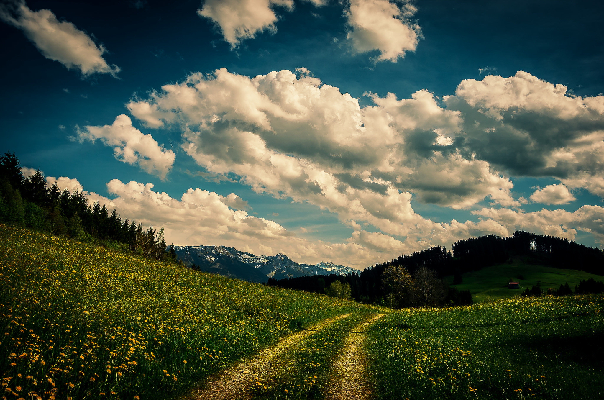 Download mobile wallpaper Landscape, Earth, Path, Cloud for free.