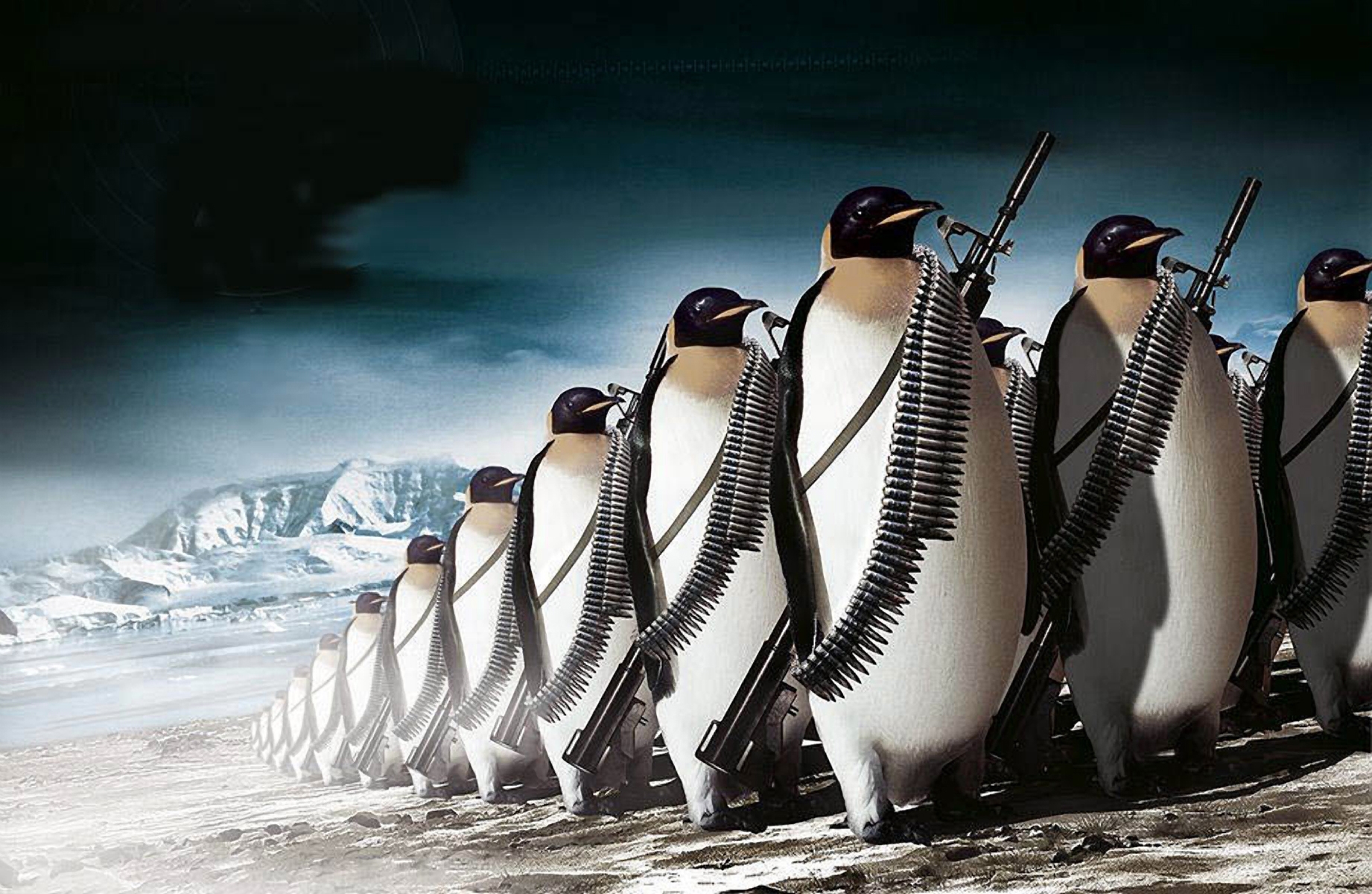 1514390 descargar fondo de pantalla militar, otro, hielo, pingüino, nieve: protectores de pantalla e imágenes gratis