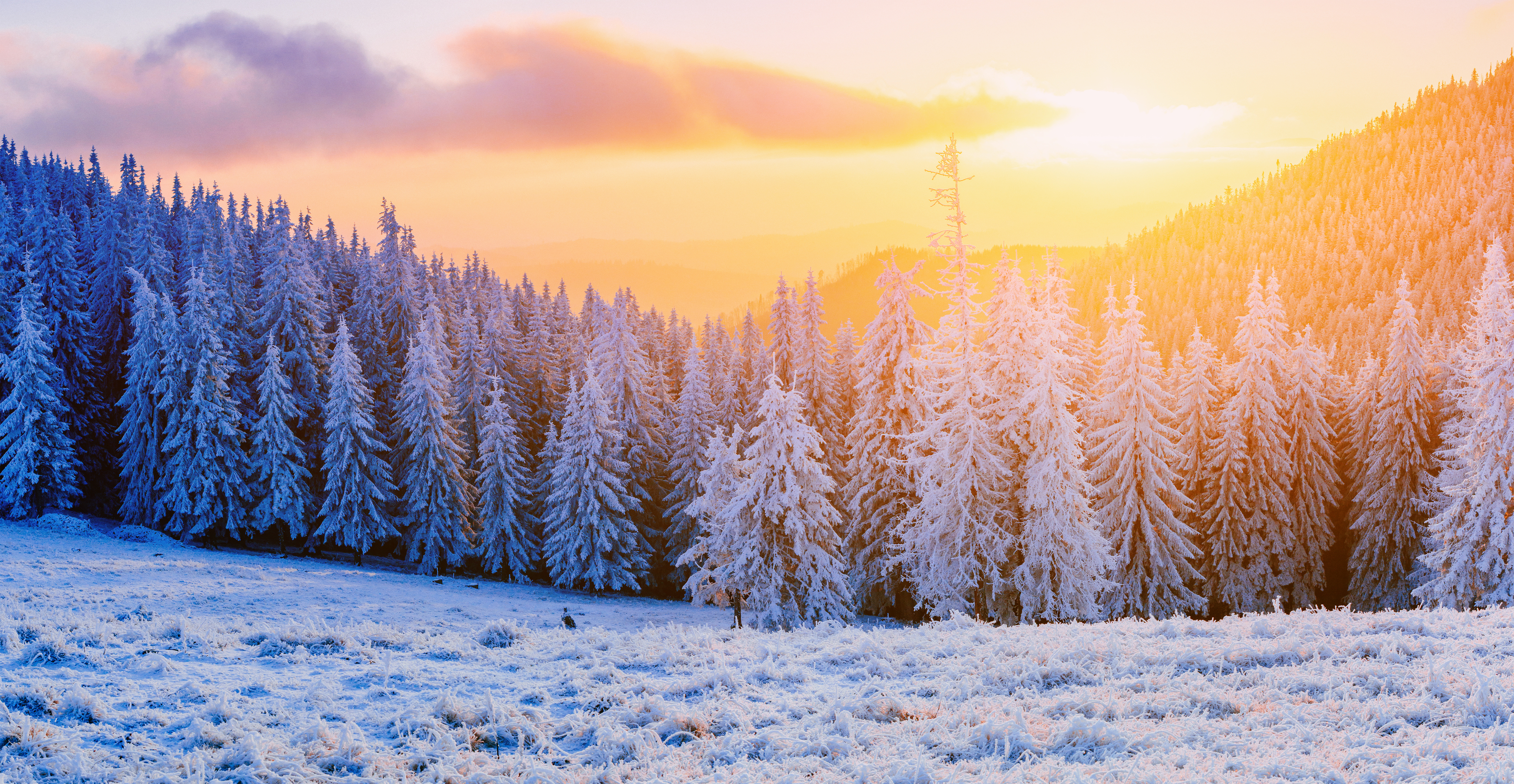 Téléchargez gratuitement l'image Hiver, Terre/nature sur le bureau de votre PC