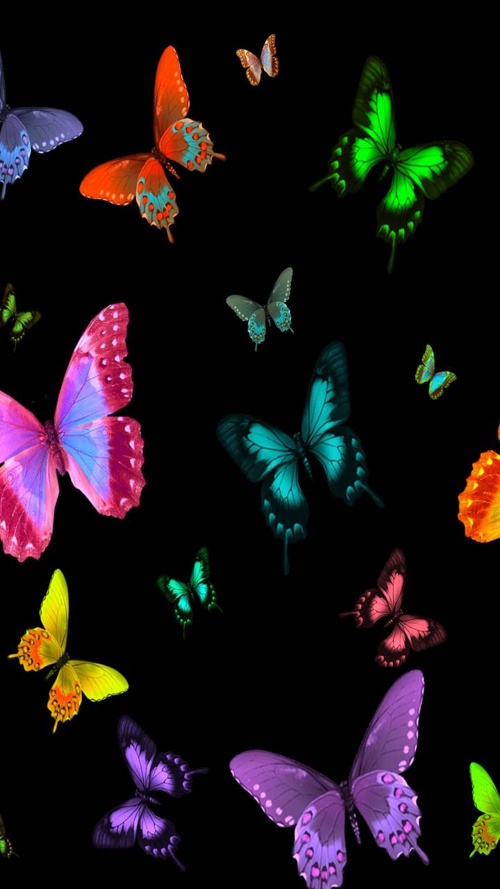 Handy-Wallpaper Farben, Schmetterling, Künstlerisch kostenlos herunterladen.