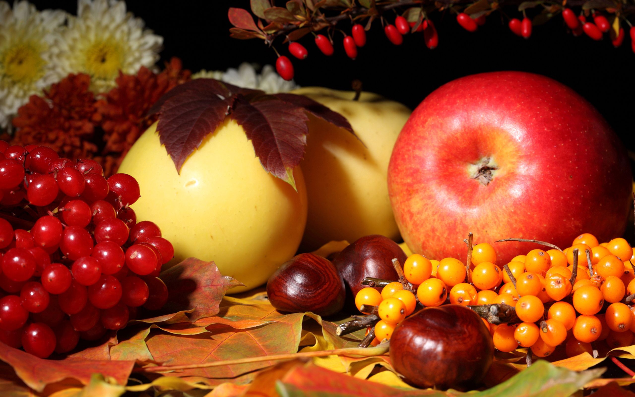 143905 завантажити картинку осінь, квіти, калина, їжа, листя, яблука, каштан, обліпиха - шпалери і заставки безкоштовно