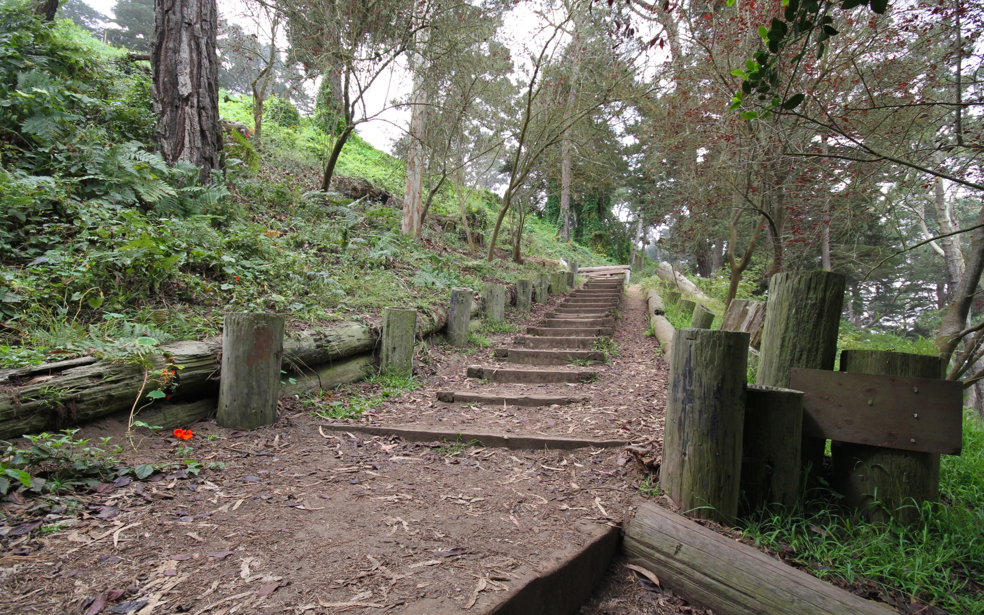 662596 Hintergrundbild herunterladen menschengemacht, golden gate park - Bildschirmschoner und Bilder kostenlos