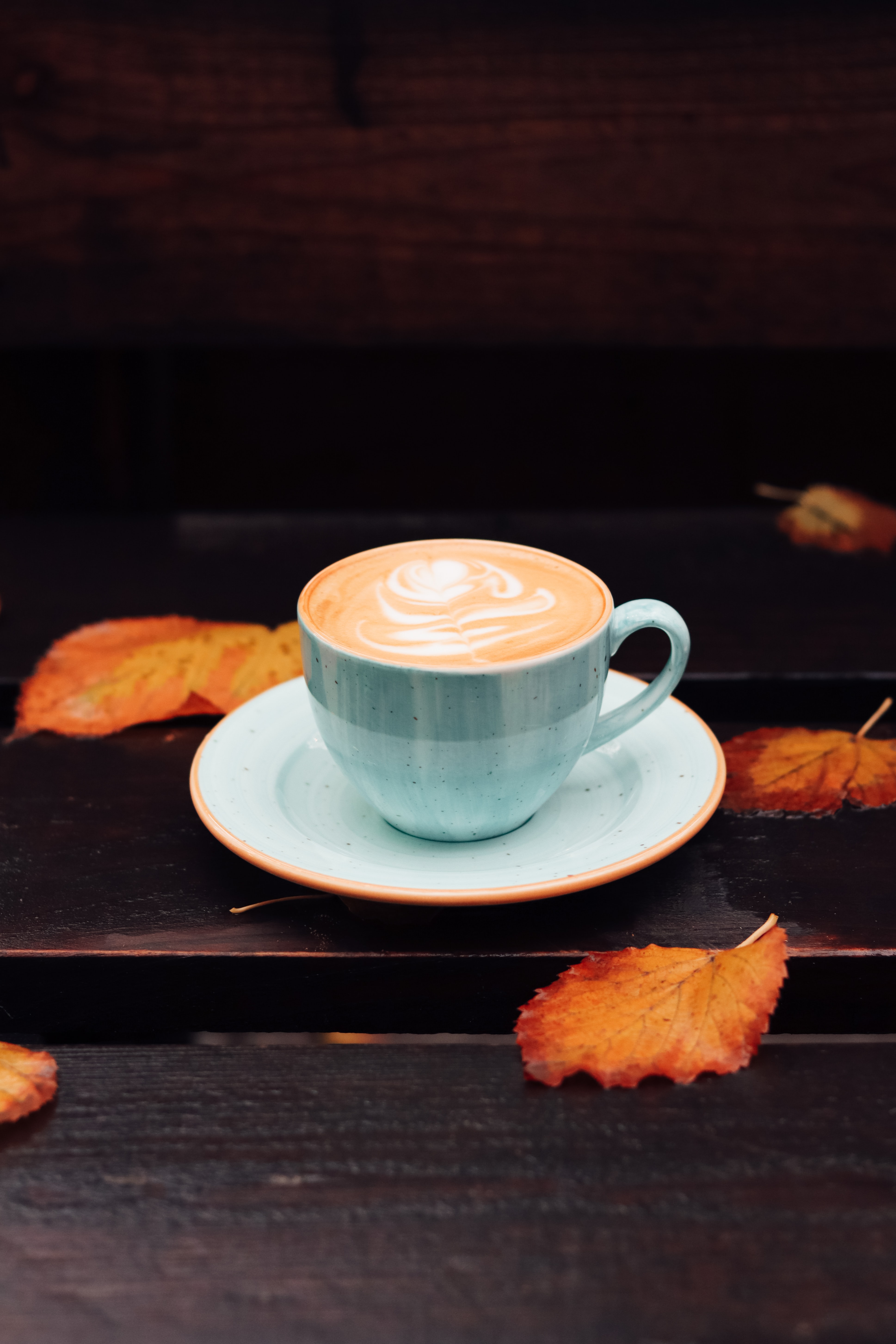 Handy-Wallpaper Lebensmittel, Tasse, Blätter, Eine Tasse, Coffee, Herbst kostenlos herunterladen.