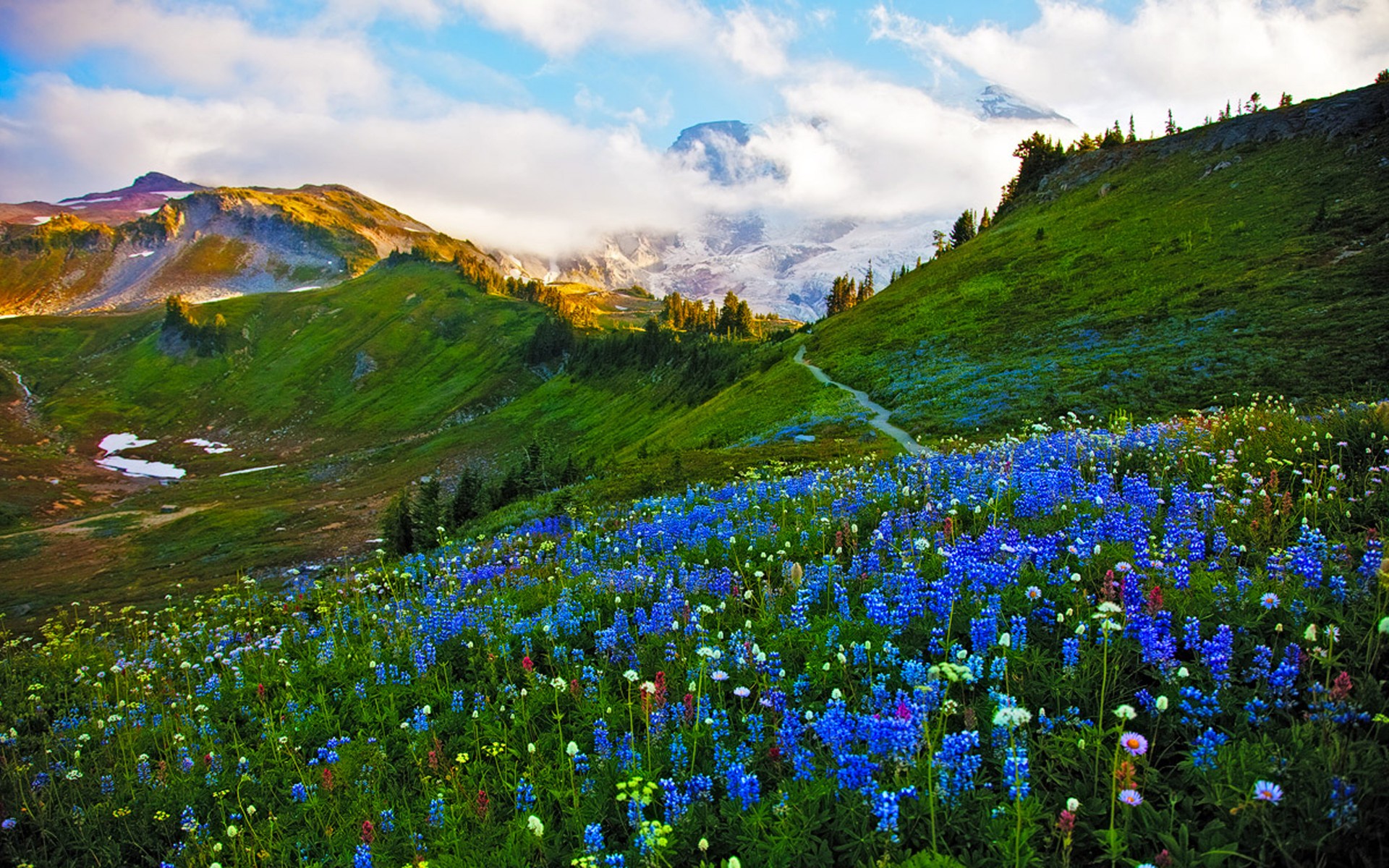 Descarga gratis la imagen Paisaje, Hierba, Montaña, Flor, Primavera, Nube, Tierra/naturaleza, Flor Azul en el escritorio de tu PC