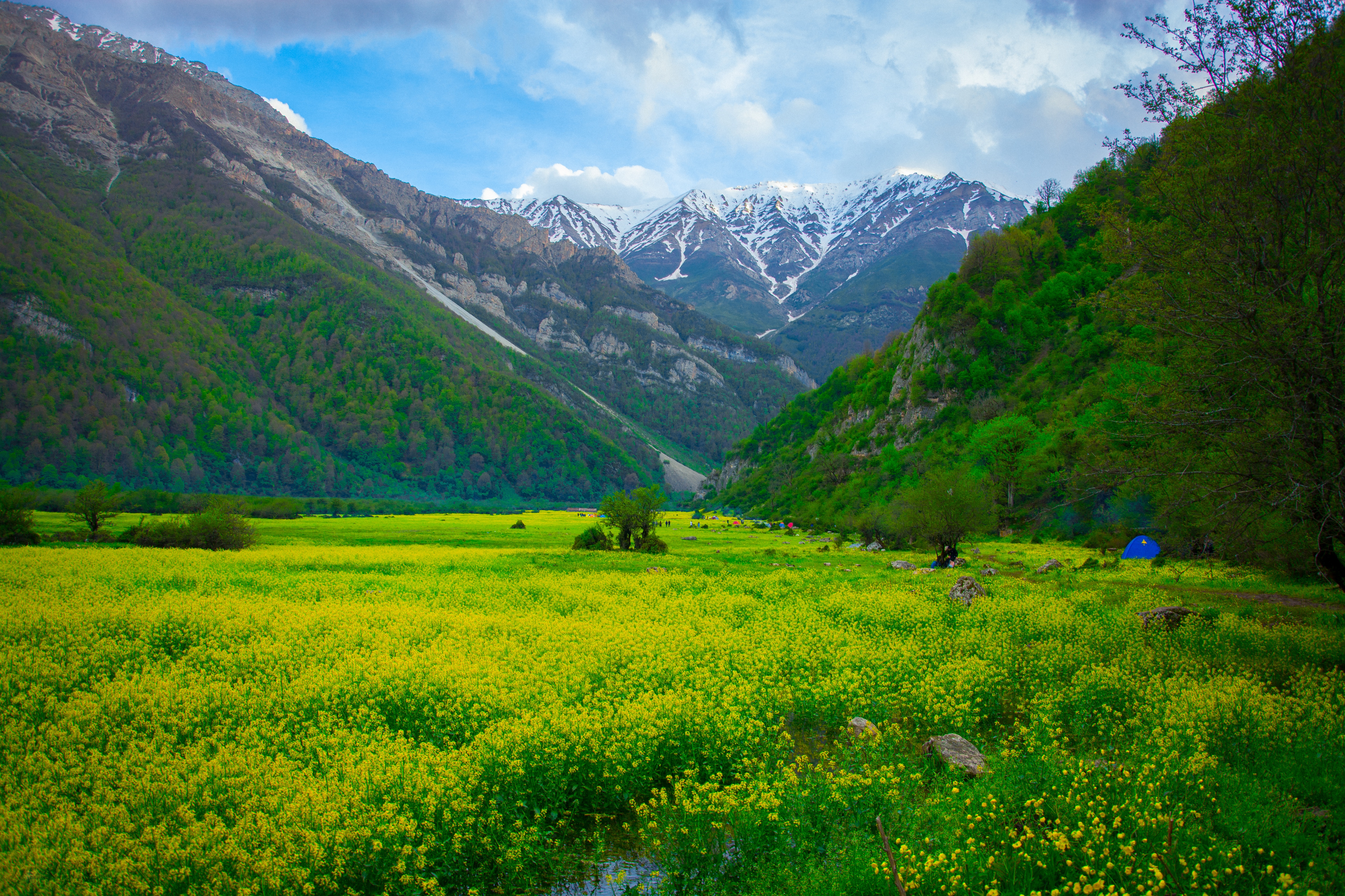 Full HD Wallpaper nature, landscape, polyana, flowers, mountains, glade