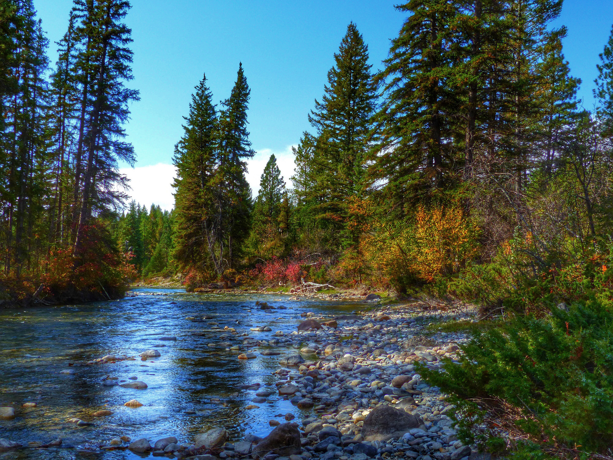 Скачать картинку Природа, Река, Лес, Камень, Земля/природа в телефон бесплатно.