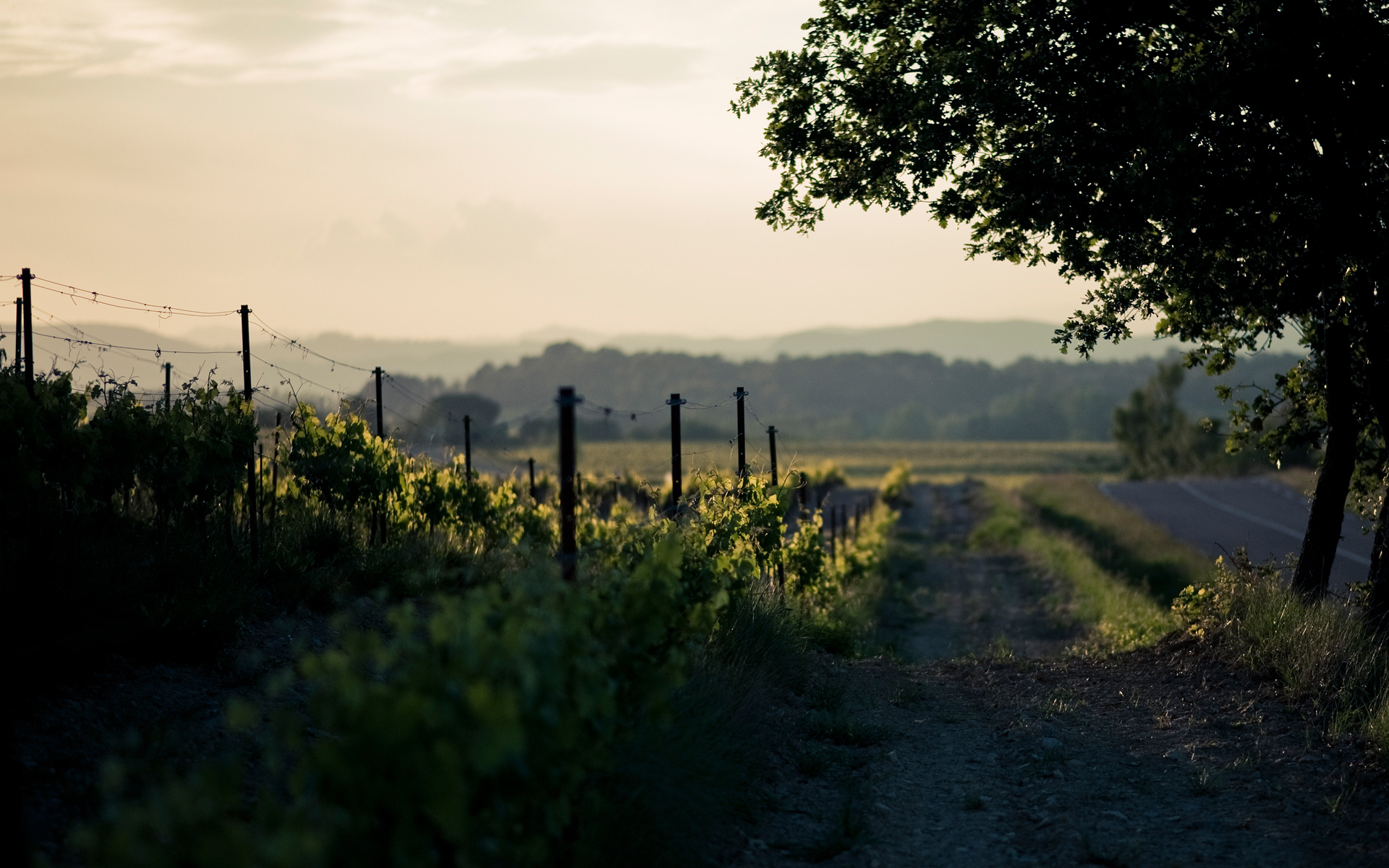 Laden Sie das Landschaft, Straße, Fotografie-Bild kostenlos auf Ihren PC-Desktop herunter