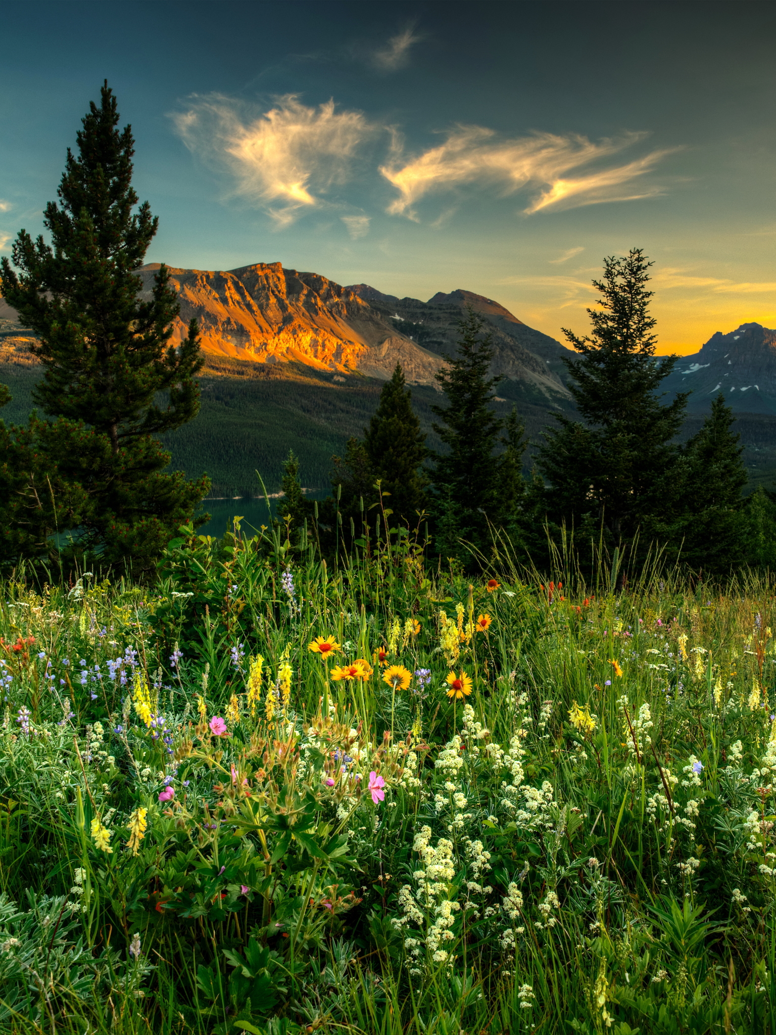 Download mobile wallpaper Landscape, Mountain, Flower, Tree, Earth, Spring, Wildflower for free.