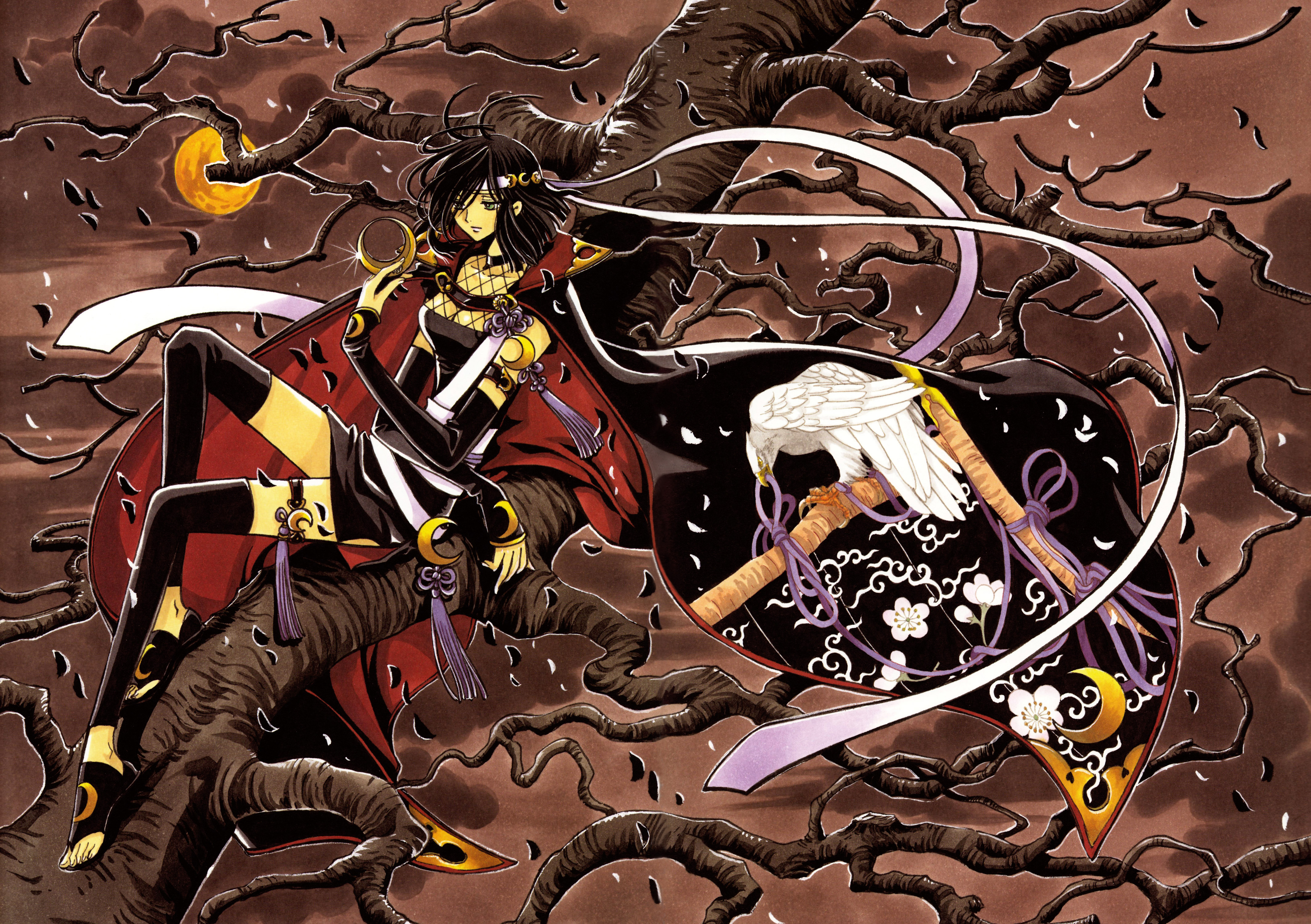 Free download wallpaper Anime, Tsubasa: Reservoir Chronicle on your PC desktop