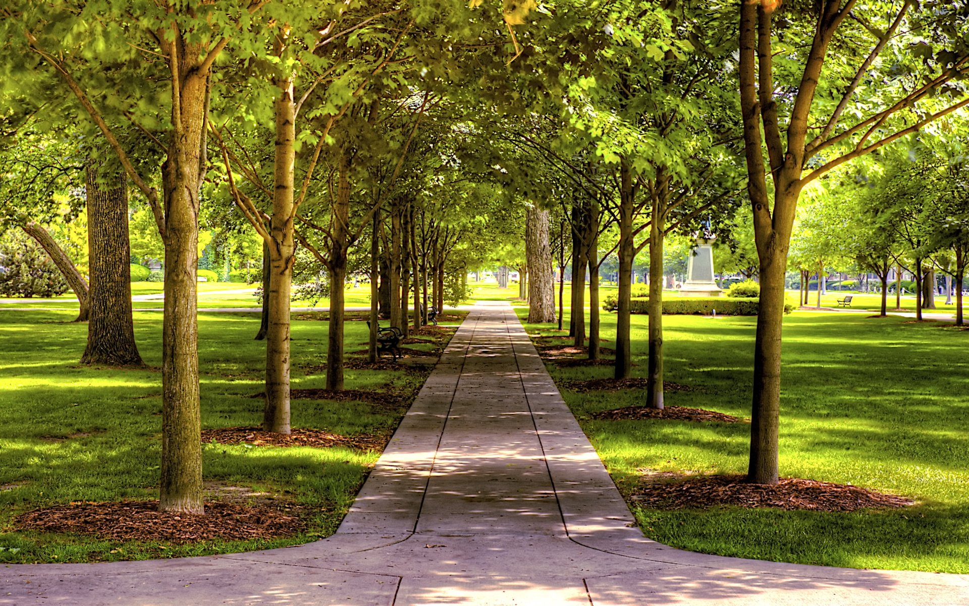 Download mobile wallpaper Park, Tree, Path, Photography, Walkway, Greenery for free.