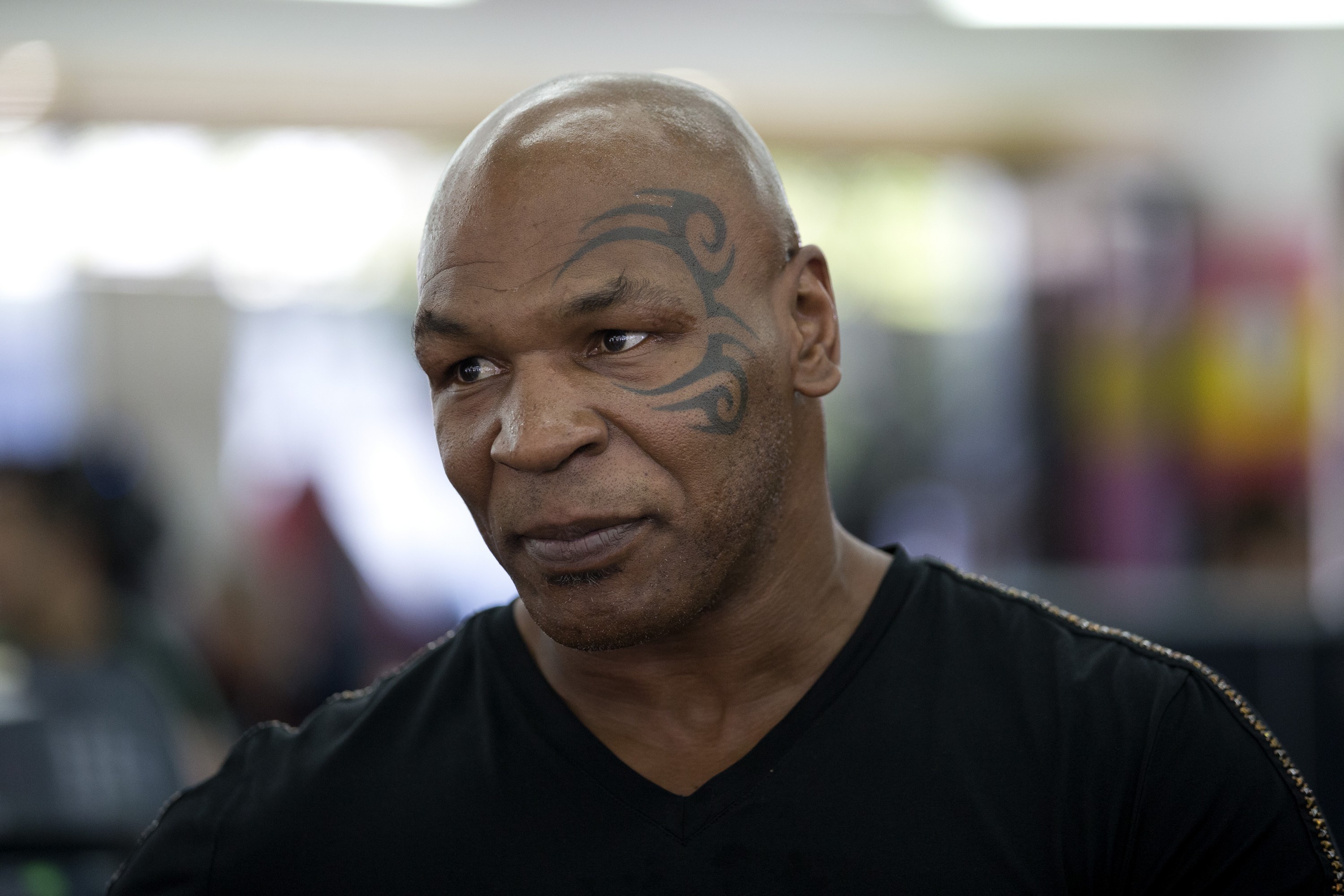 celebrity, mike tyson, actor, american, boxer, tattoo