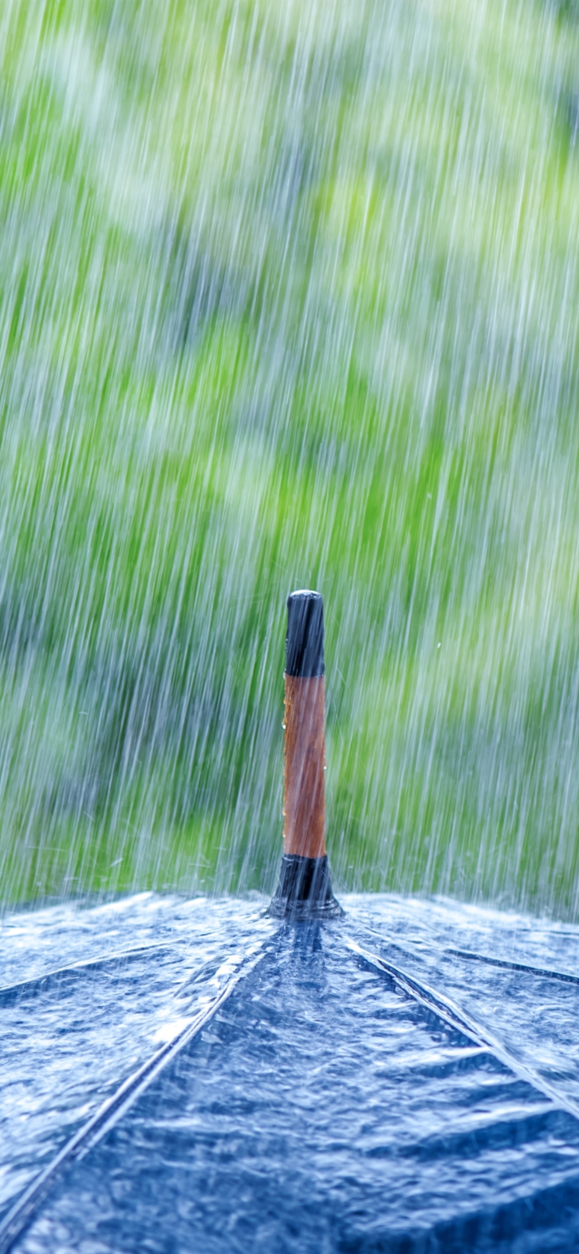 Download mobile wallpaper Rain, Umbrella, Photography for free.