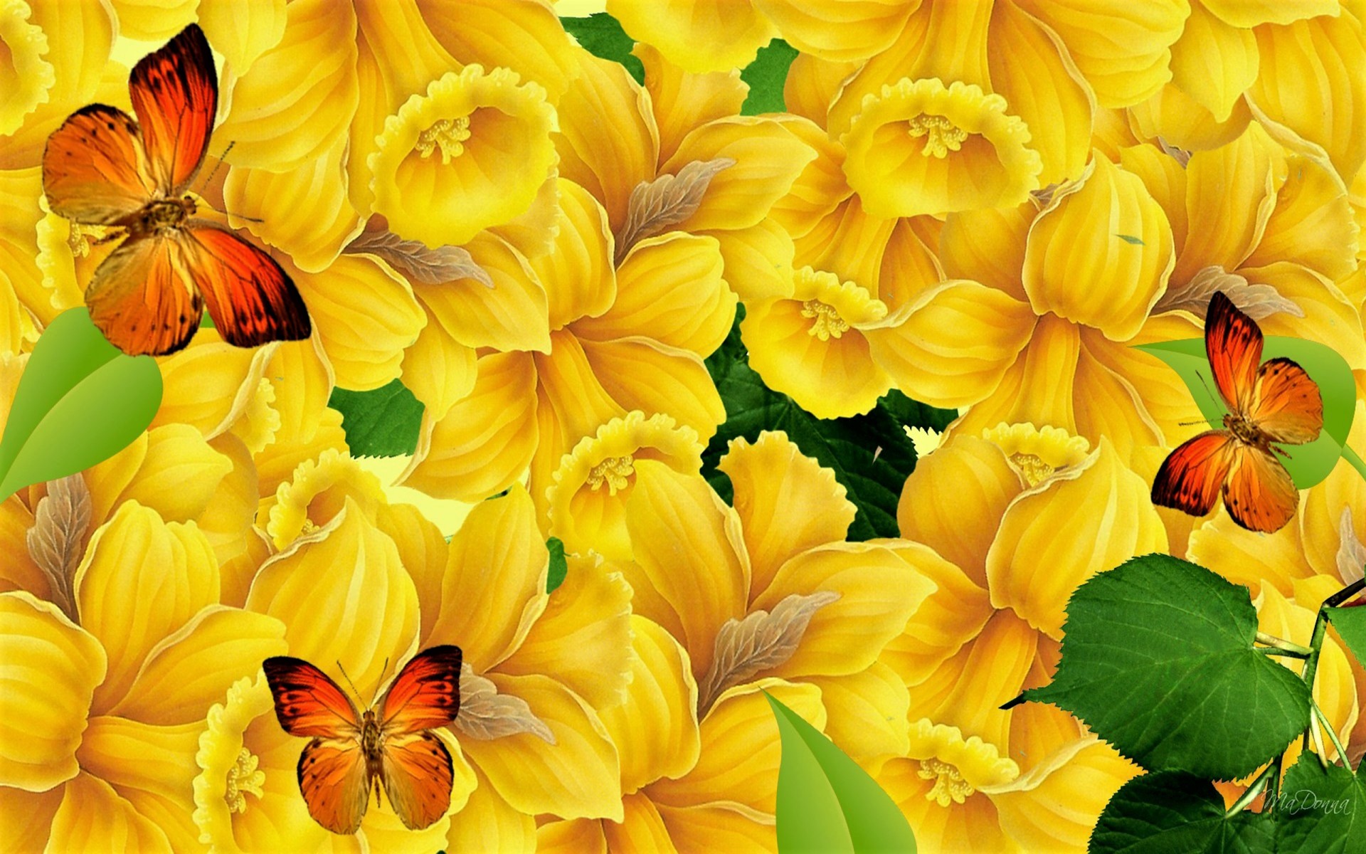 Скачать картинку Цветок, Бабочка, Нарцисс, Желтый Цветок, Художественные, Оранжевый Цвет) в телефон бесплатно.