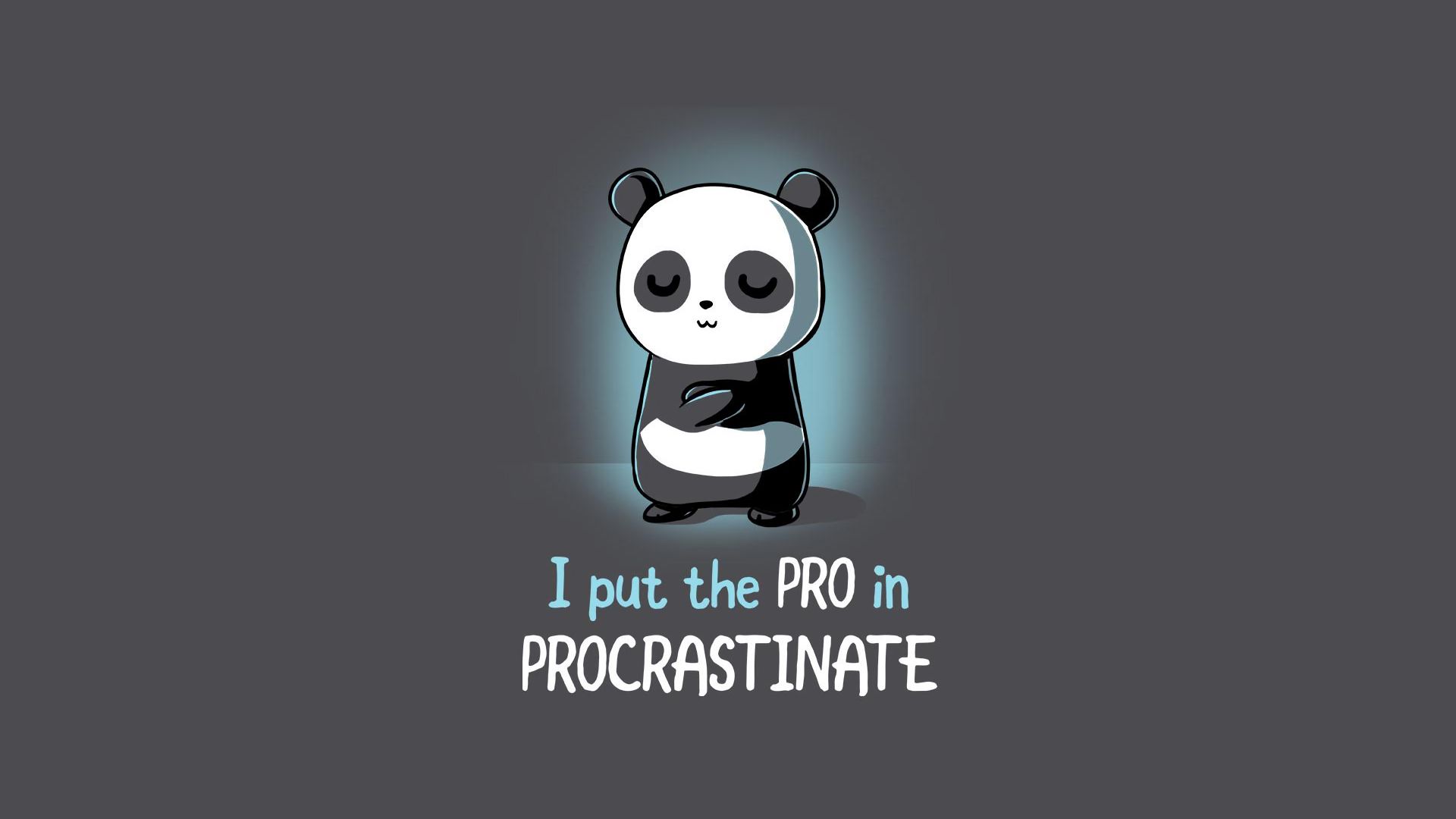 Free download wallpaper Funny, Panda, Statement, Humor on your PC desktop