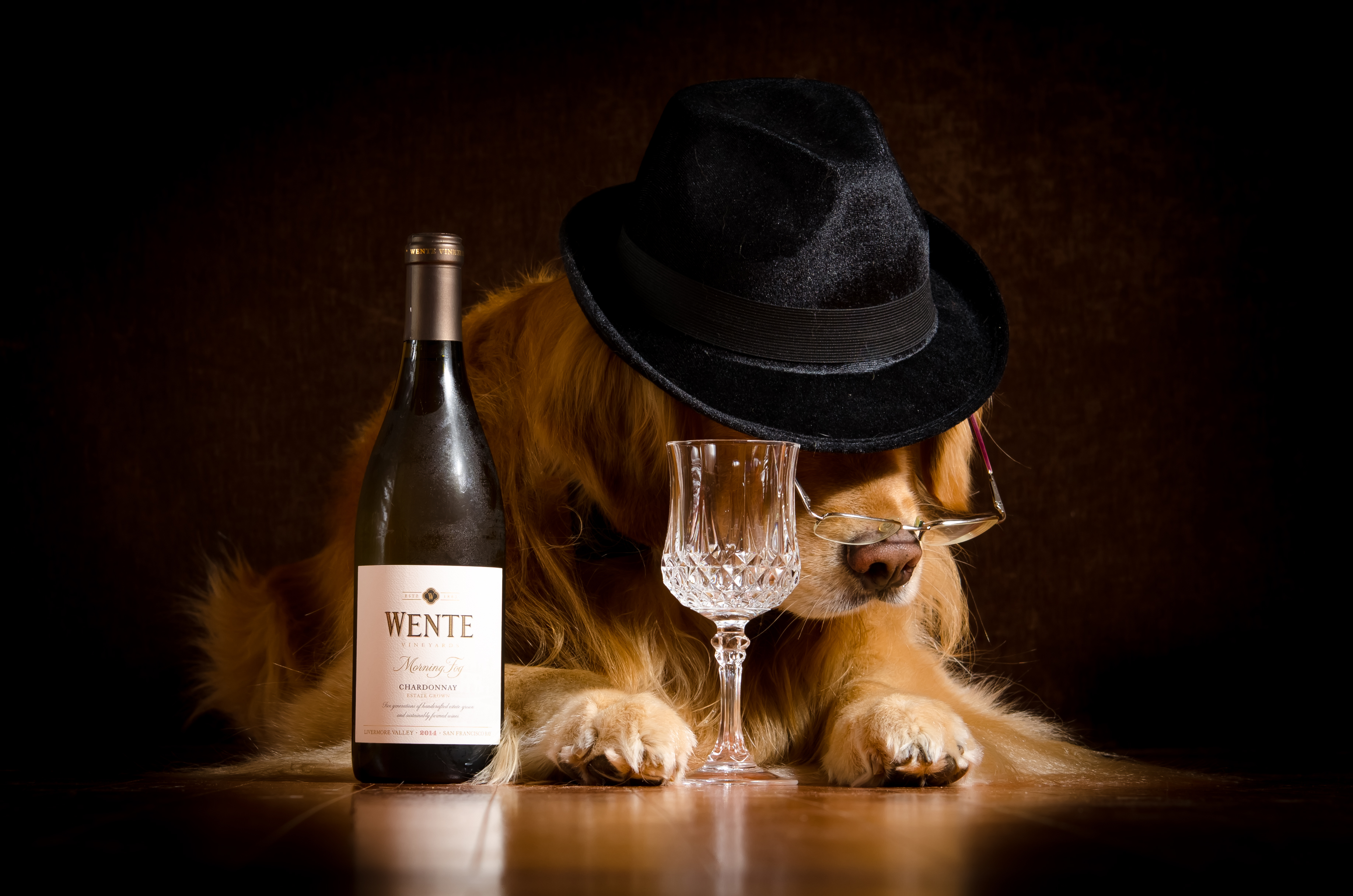 Download mobile wallpaper Dogs, Glass, Animal, Golden Retriever, Glasses, Hat, Bottle, Humor, Wine for free.