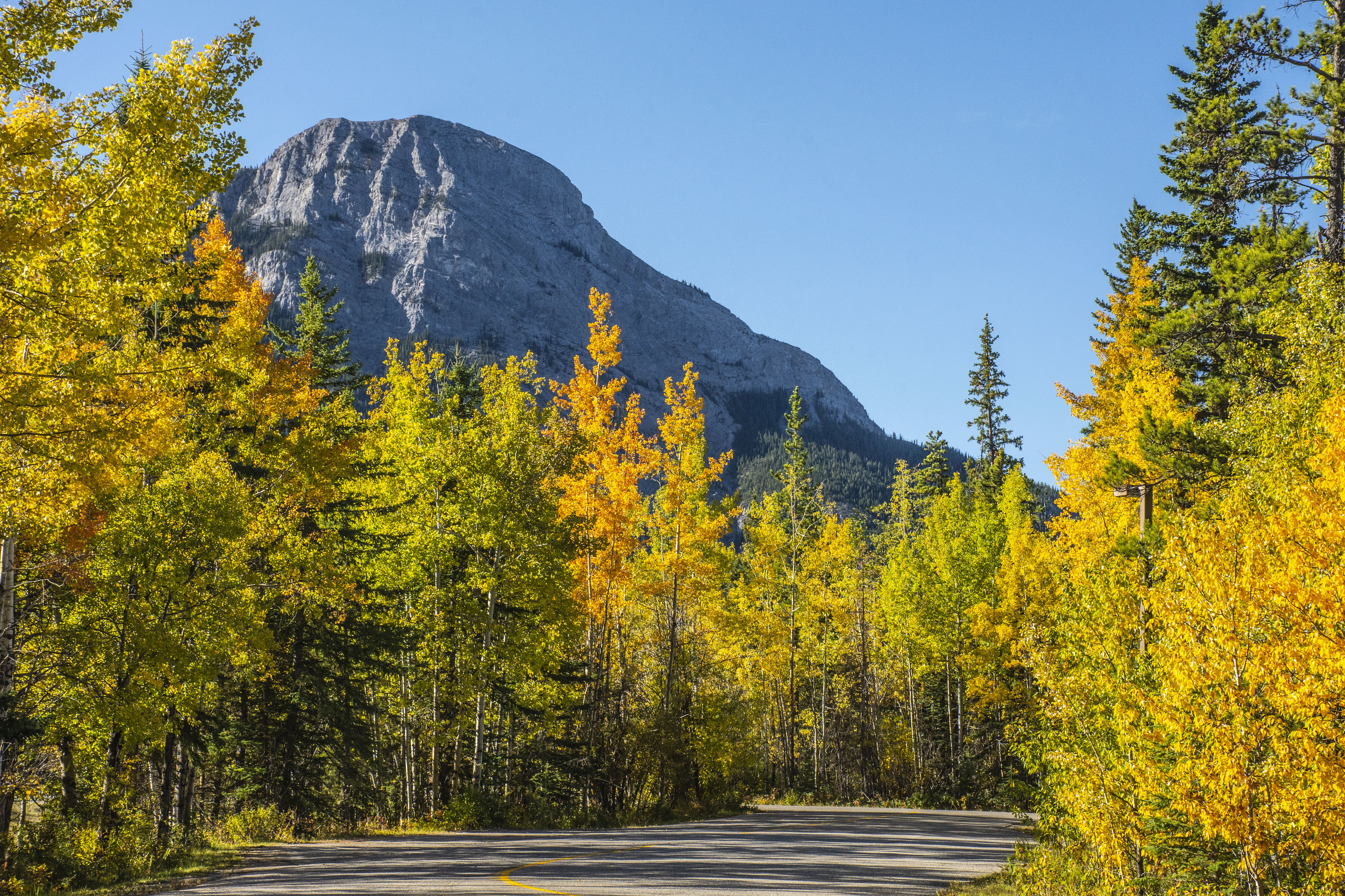 無料モバイル壁紙道路, 道, スロープ, 坂, 自然, 木, 秋をダウンロードします。