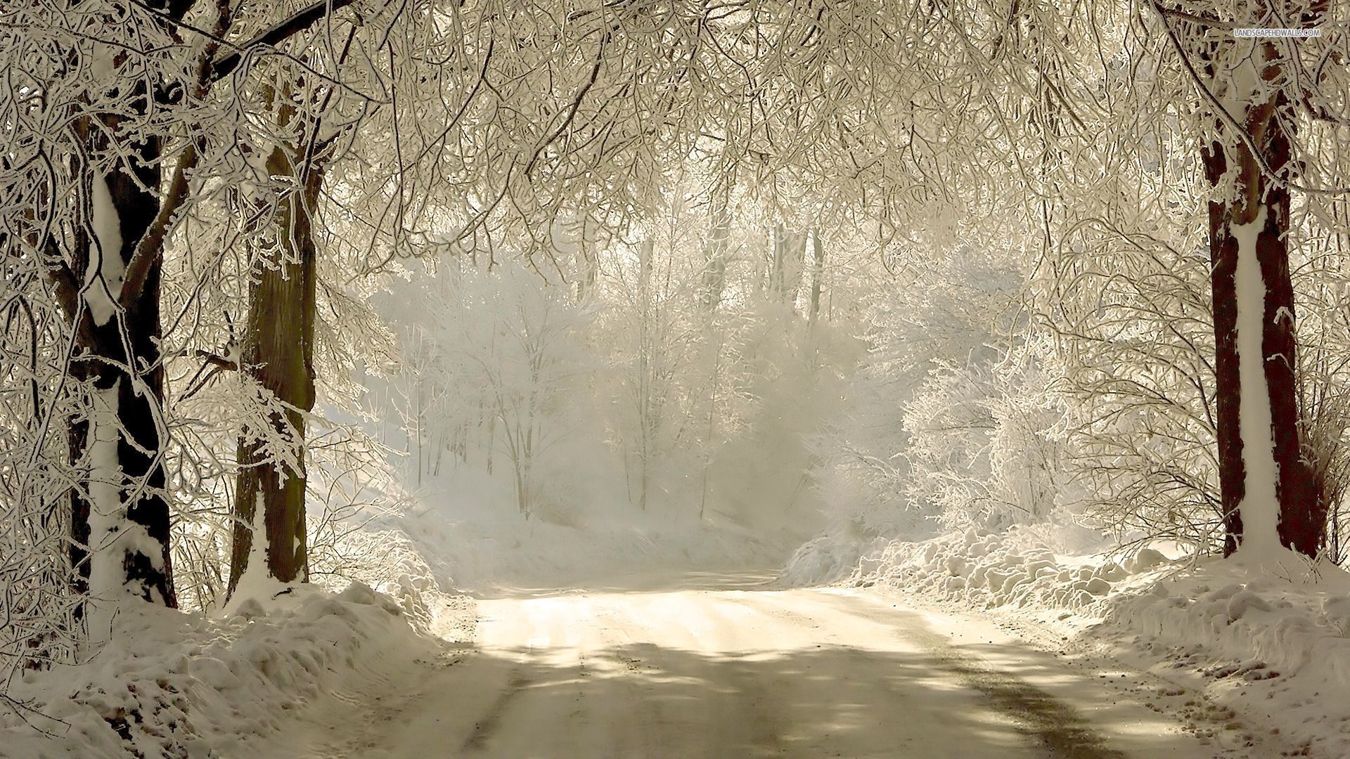 Download mobile wallpaper Snow, Road, Forest, Earth for free.