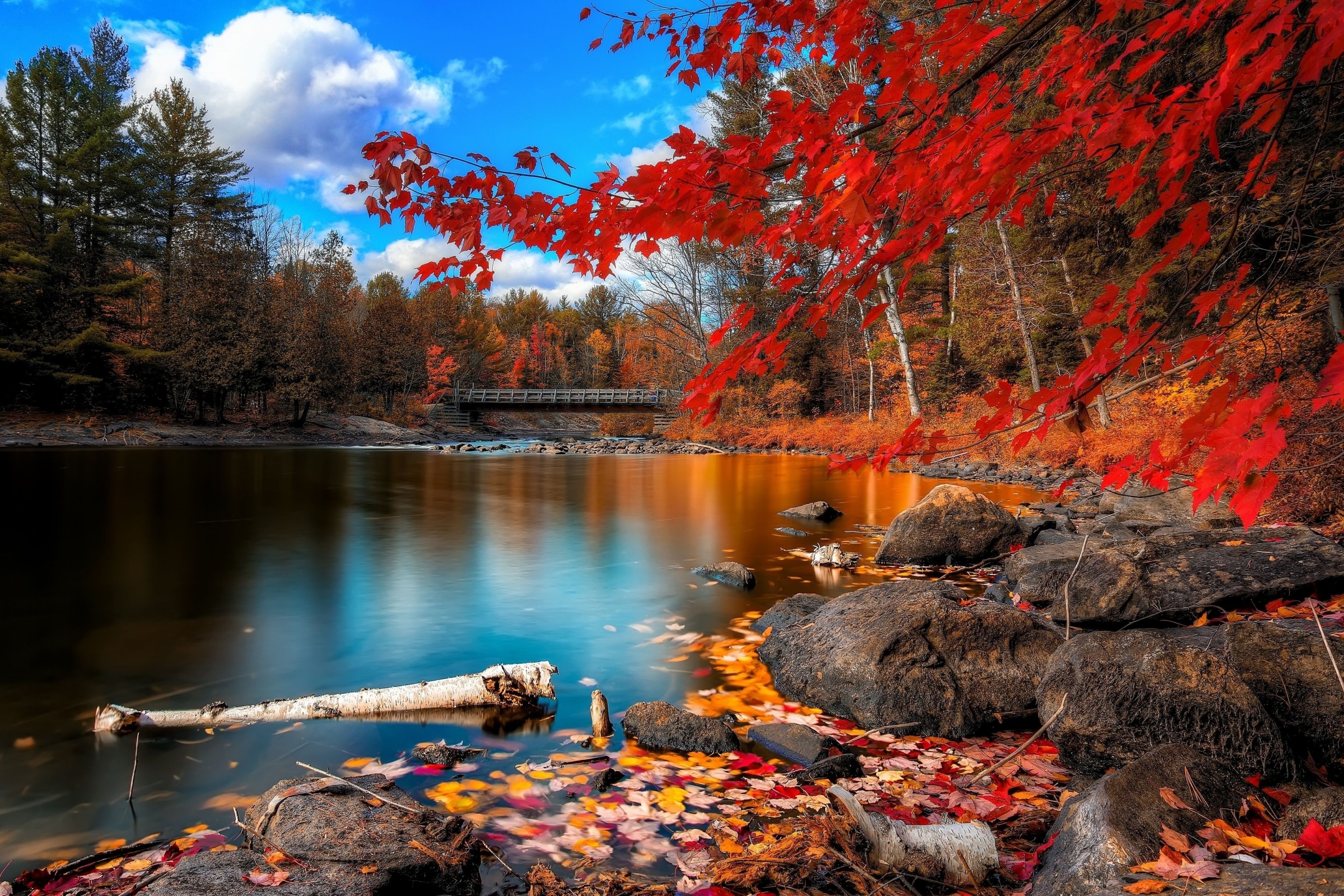 Free download wallpaper Nature, Water, Lake, Fall, Earth, Bridge on your PC desktop