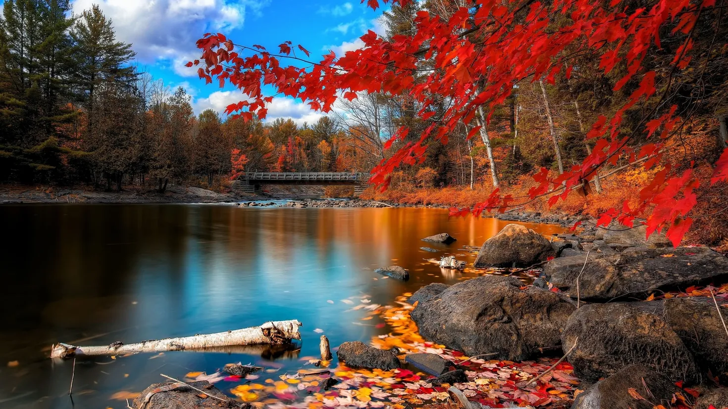 Desktop wallpaper: Nature, Earth, Fall, Bridge, Water, Lake 4K free ...