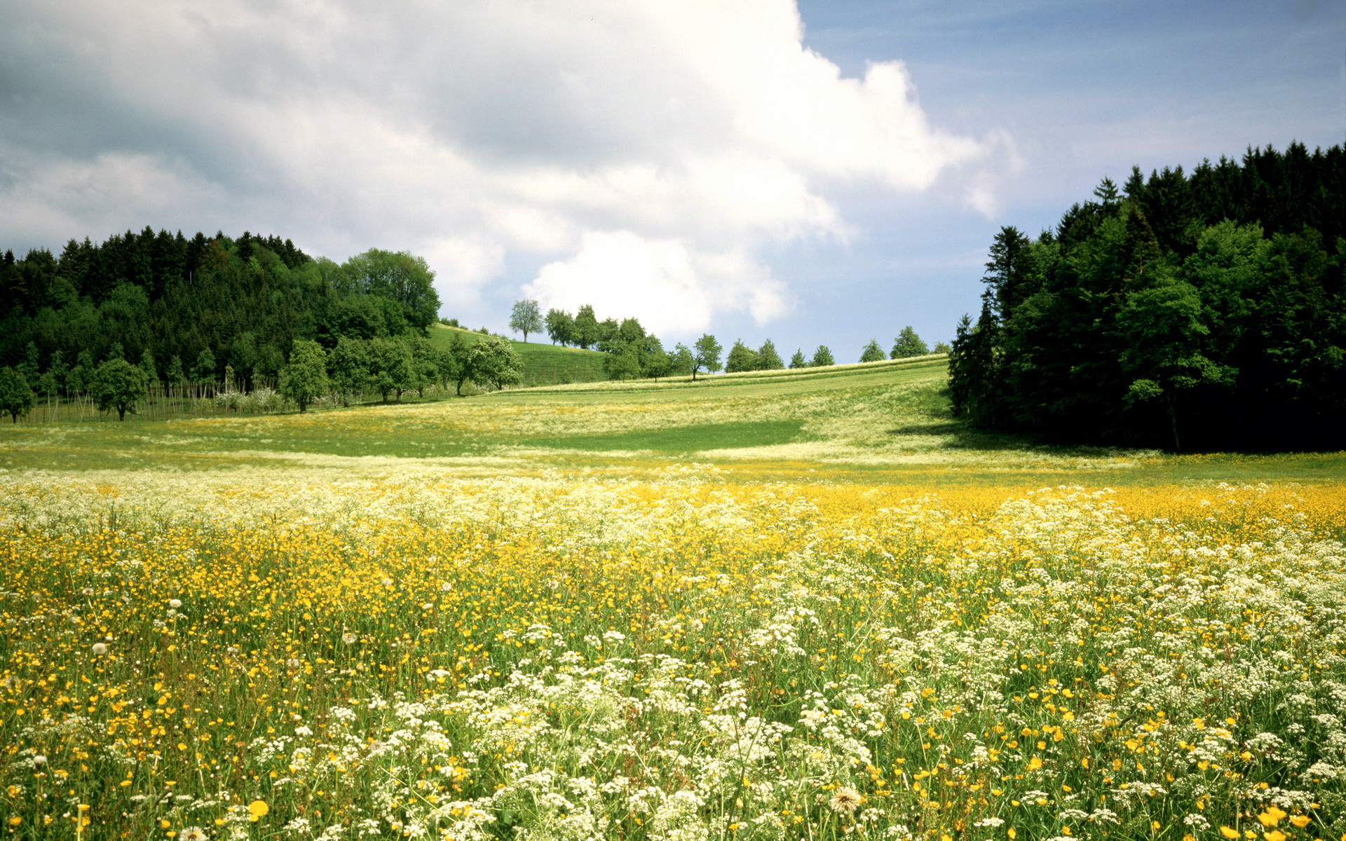 Handy-Wallpaper Landschaft, Erde/natur kostenlos herunterladen.