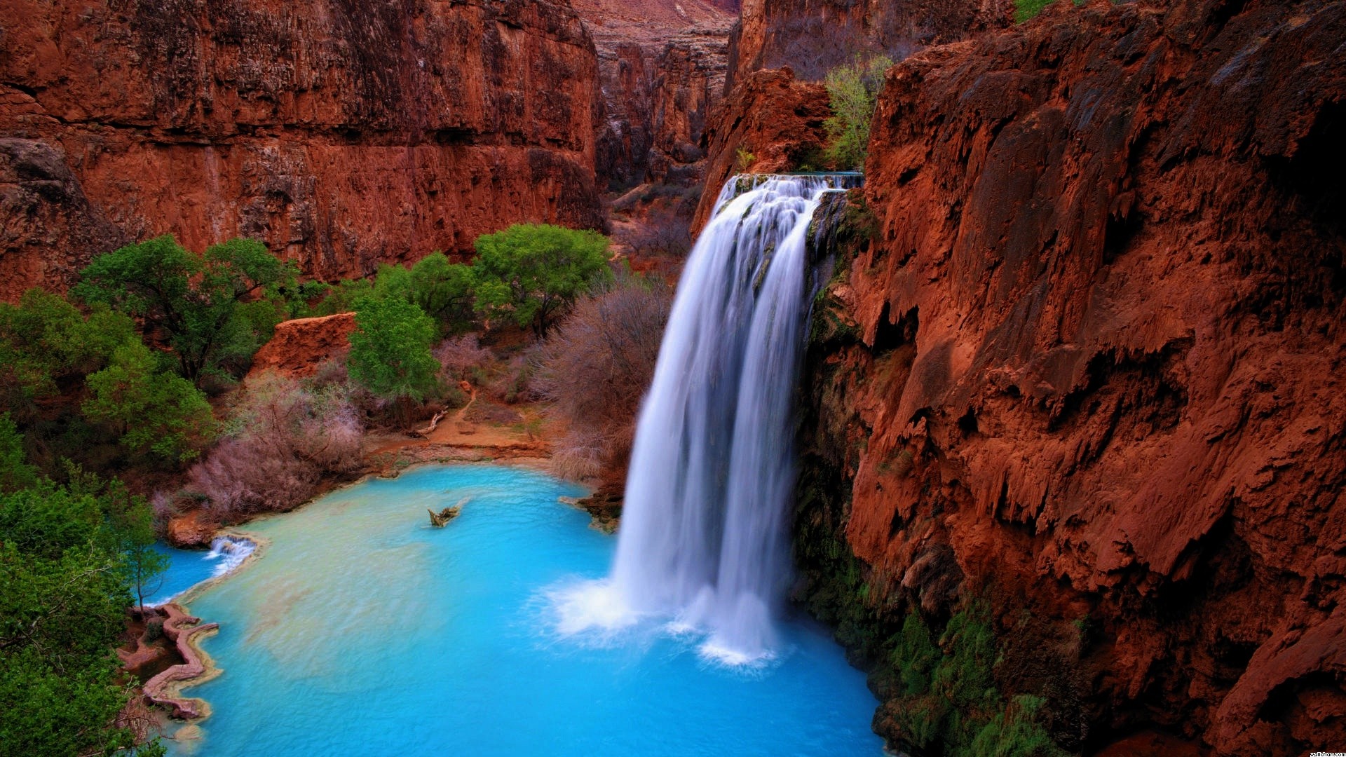 Download mobile wallpaper Canyon, Waterfall, Earth, Arizona, Havasu Falls, Shrub for free.