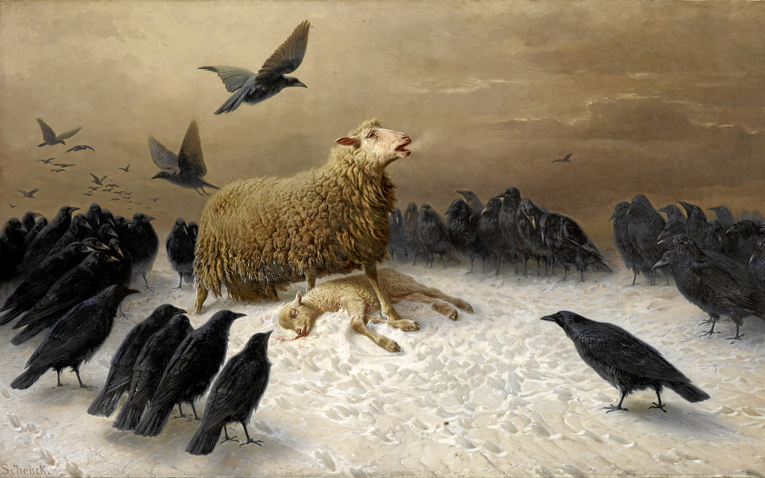 Скачать обои бесплатно Птицы, Смерть, Овца, Ворона, Тьма картинка на рабочий стол ПК