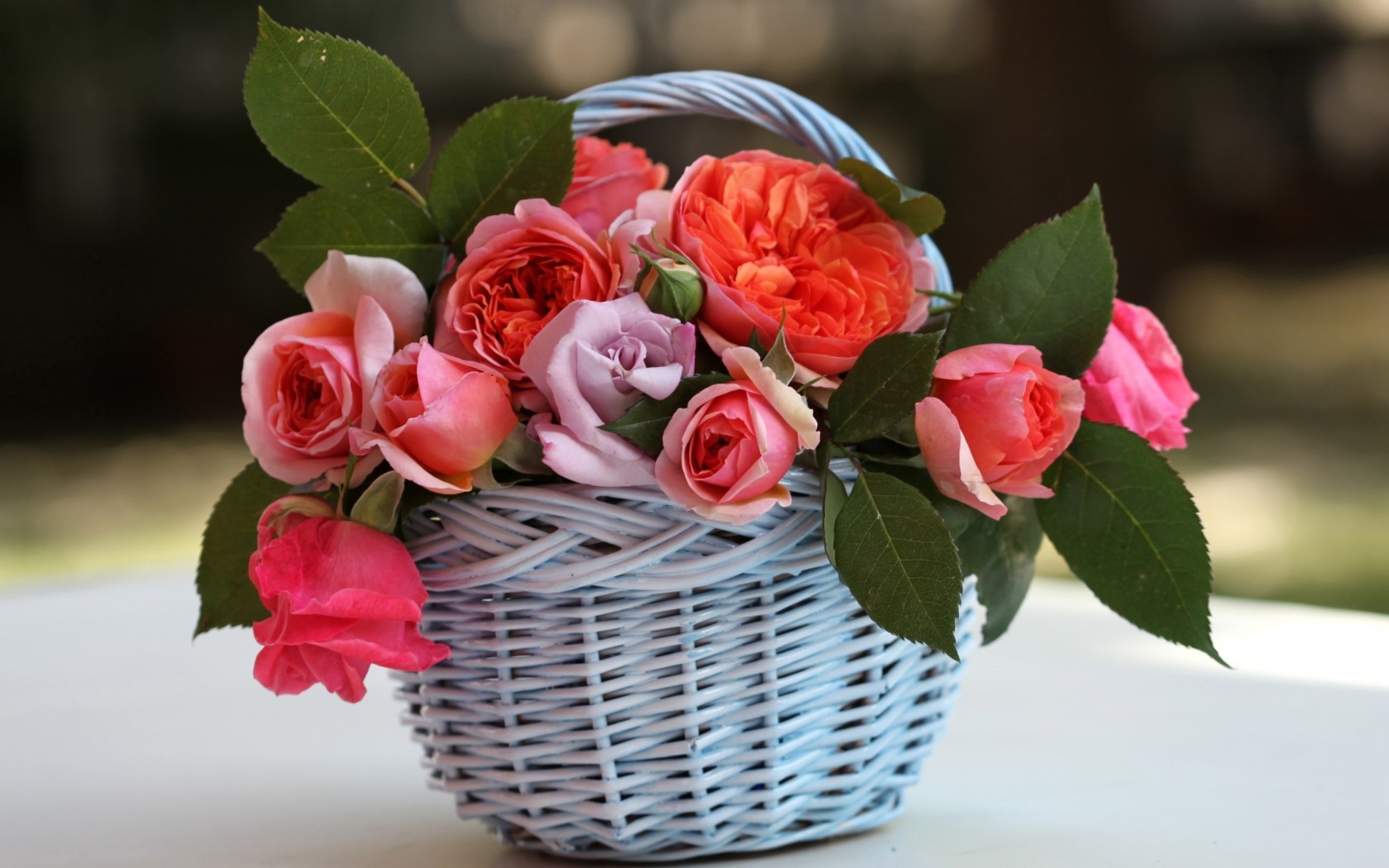 Скачать обои бесплатно Букеты, Растения, Цветы, Розы картинка на рабочий стол ПК