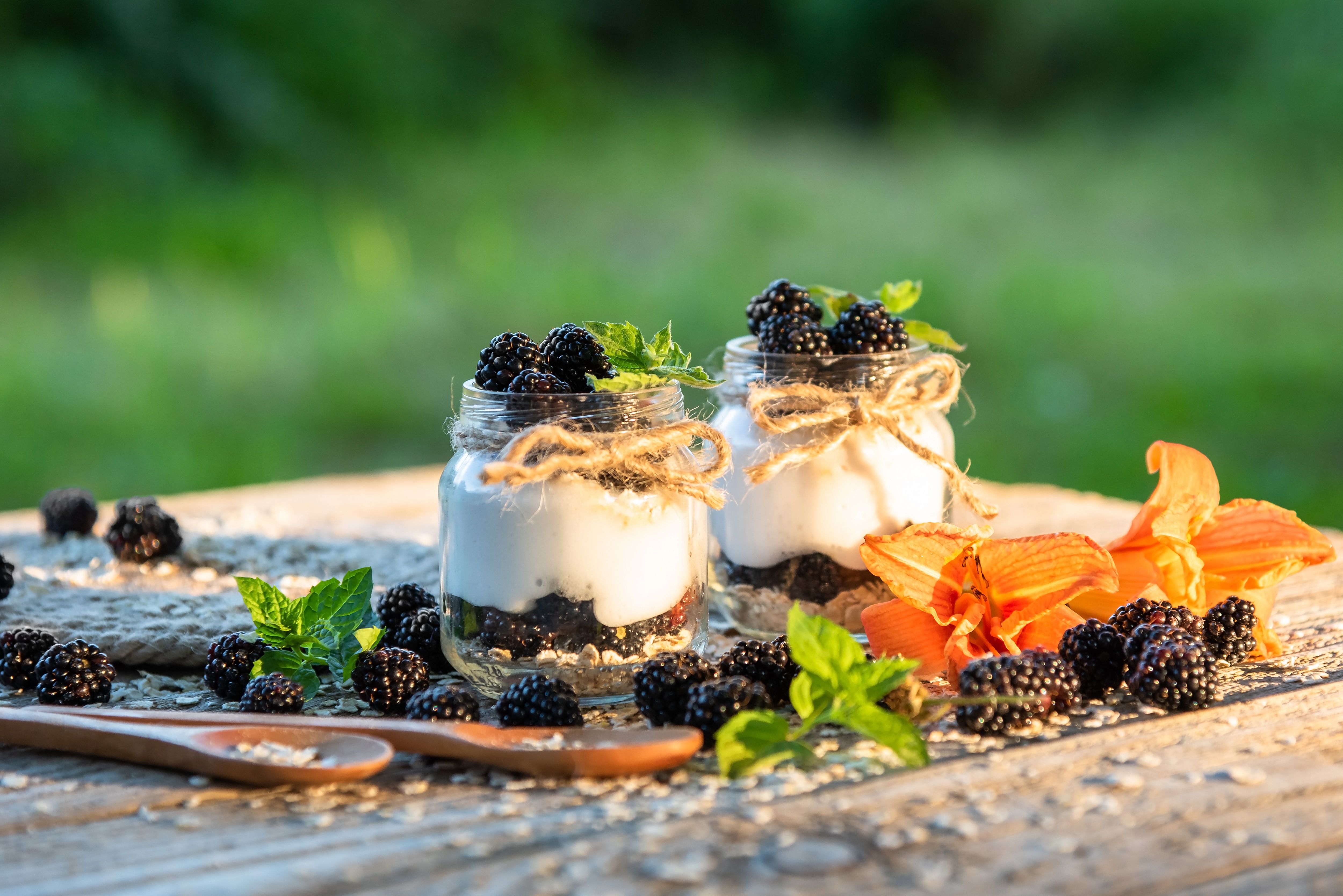 Download mobile wallpaper Food, Dessert, Blackberry, Berry, Yogurt for free.