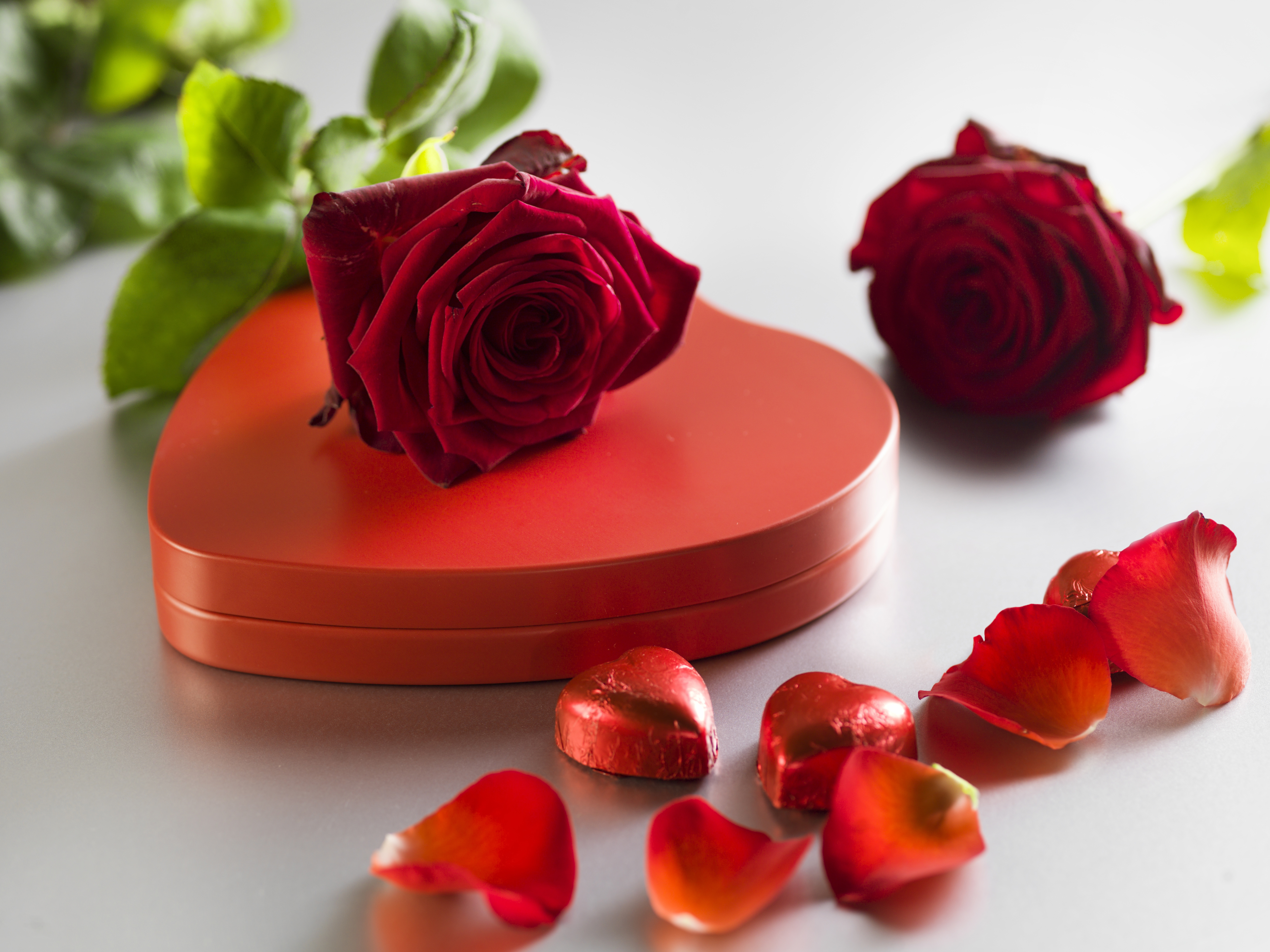 無料モバイル壁紙チョコレート, 花, 薔薇, 花弁, 赤いバラ, バレンタイン・デー, ロマンチック, 赤い花, ホリデー, ハート型をダウンロードします。
