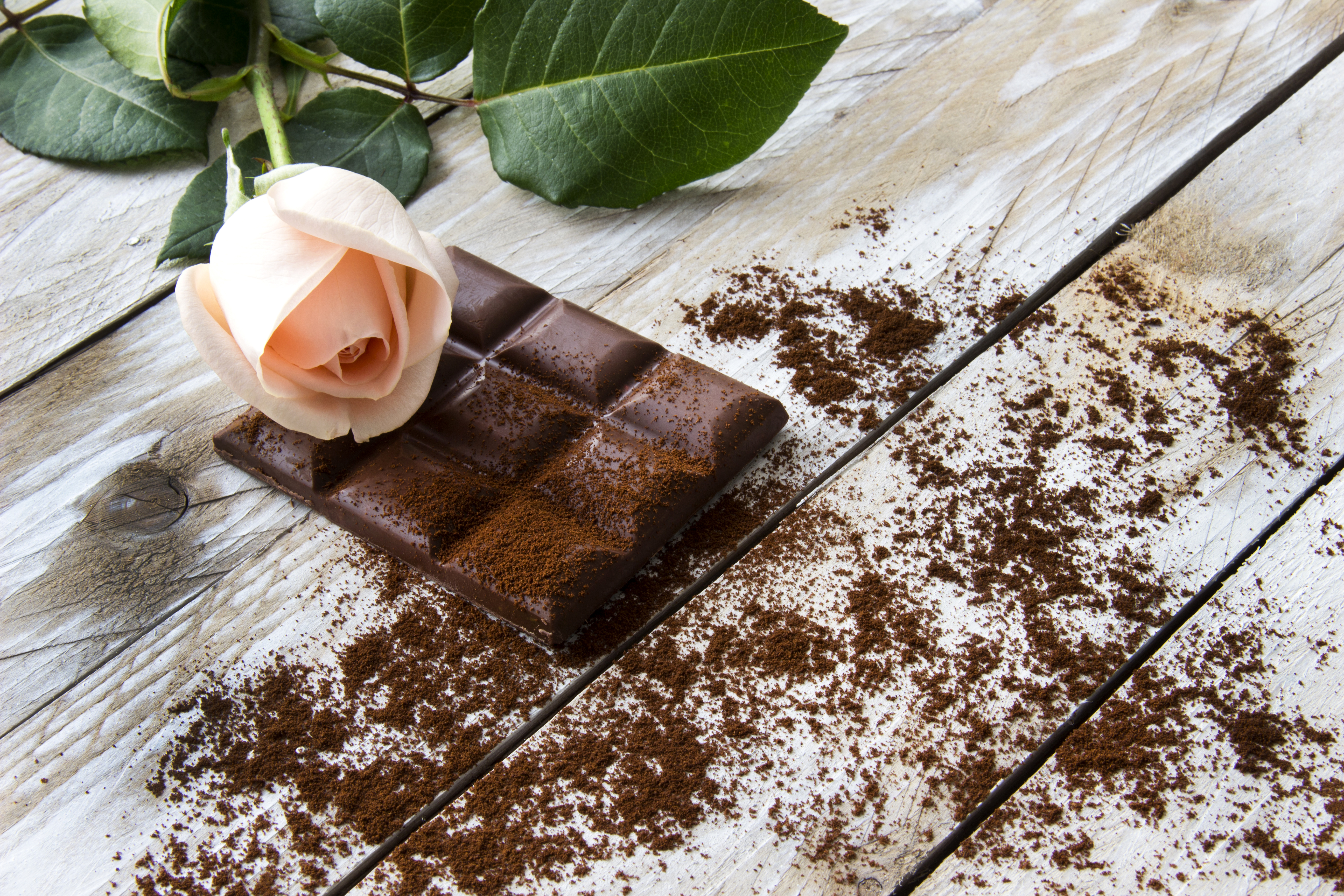 Baixar papel de parede para celular de Comida, Chocolate, Flor, Flor Rosa, Tulipa gratuito.