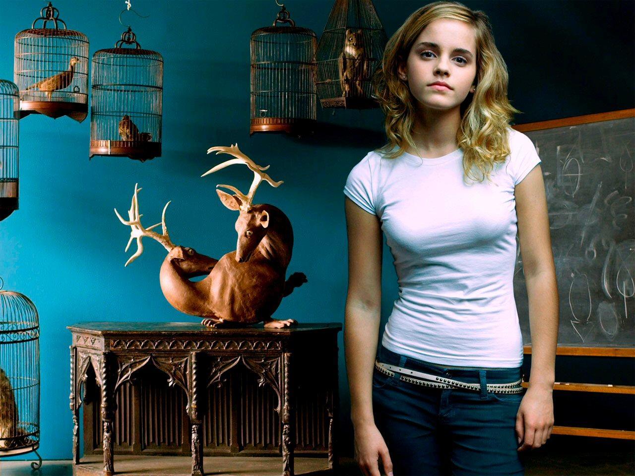 Download mobile wallpaper Emma Watson, People, Cinema, Harry Potter for free.