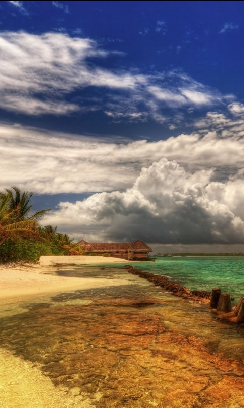 Descarga gratuita de fondo de pantalla para móvil de Playa, Tierra/naturaleza.