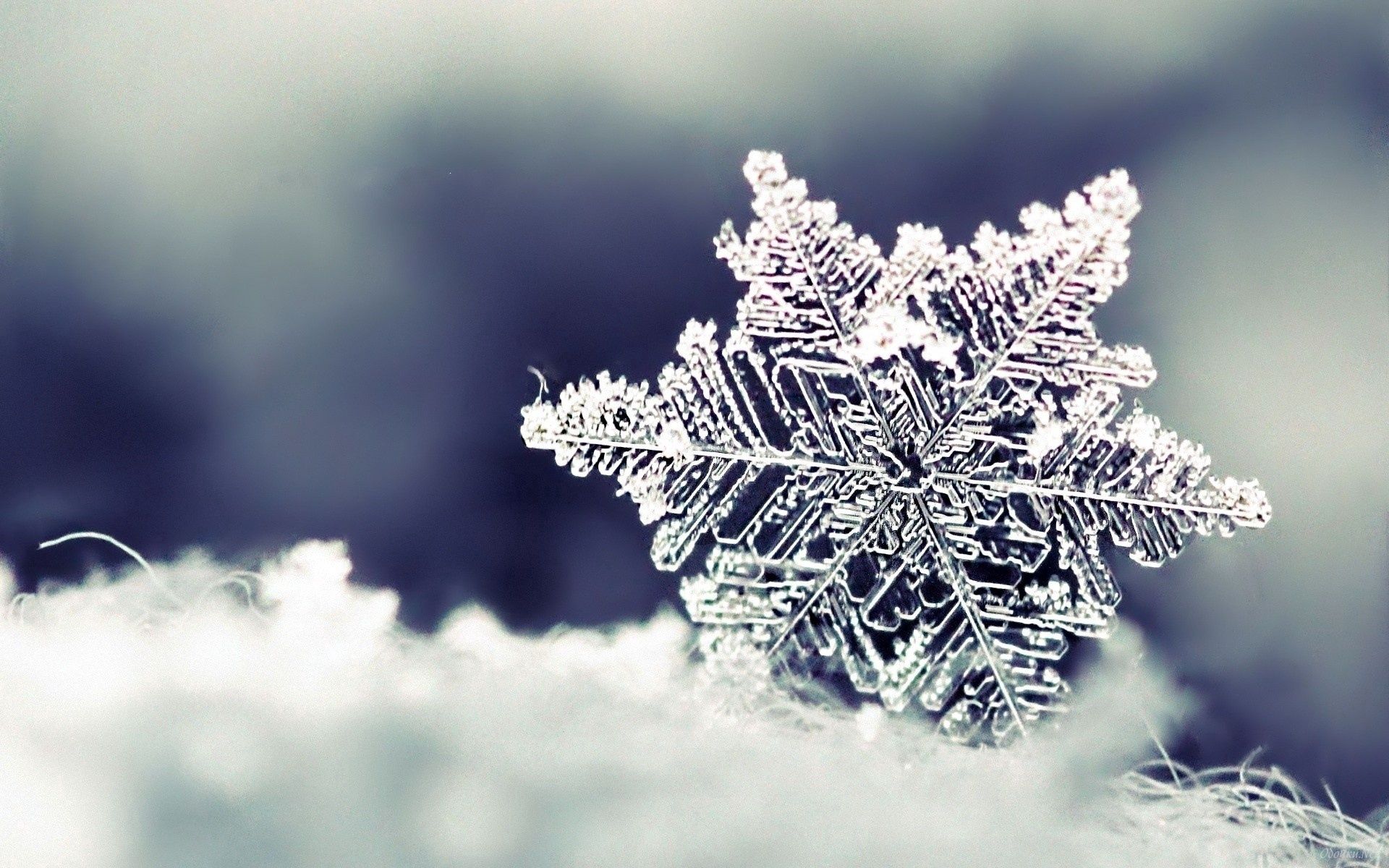 Desktop FHD winter, snowflake, snow, macro