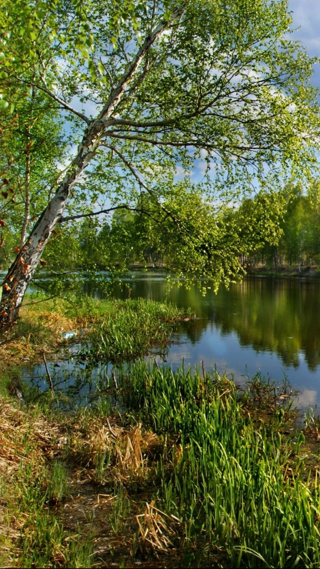 Скачати мобільні шпалери Річка, Земля безкоштовно.