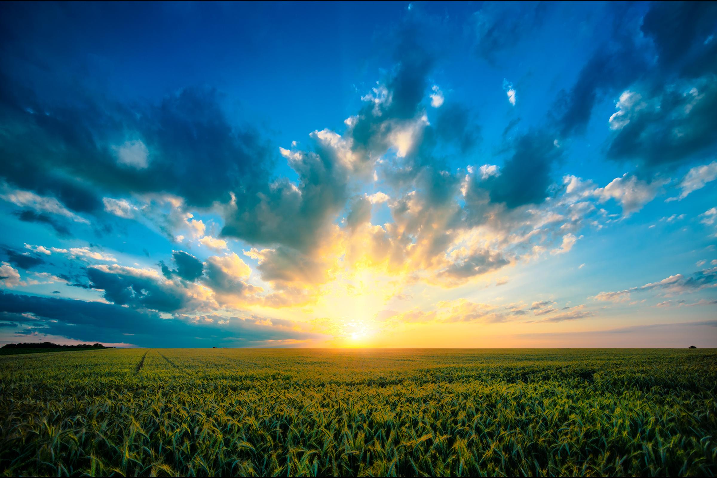 Free download wallpaper Sunset, Sky, Earth, Field, Cloud on your PC desktop