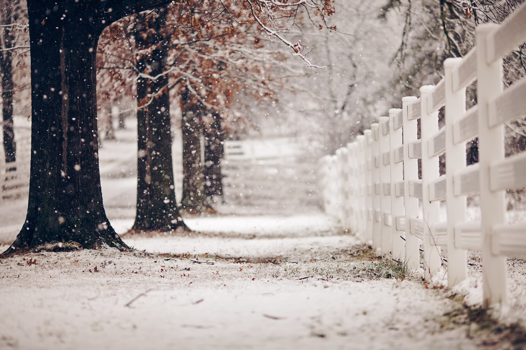 Download mobile wallpaper Winter, Snow, Photography for free.