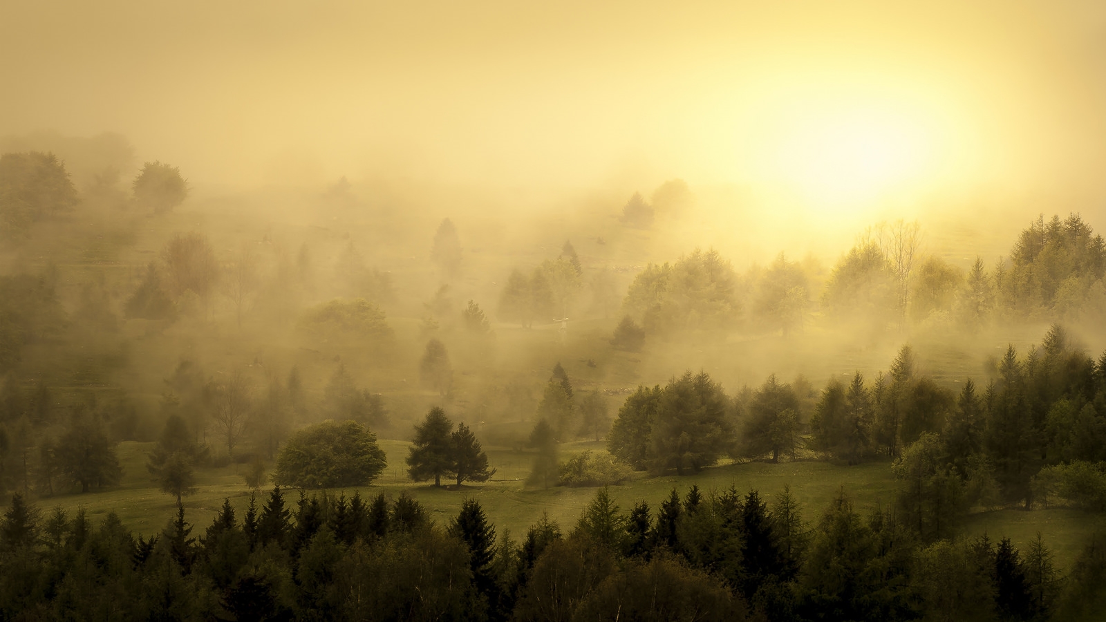 Laden Sie das Landschaft, Erde/natur-Bild kostenlos auf Ihren PC-Desktop herunter