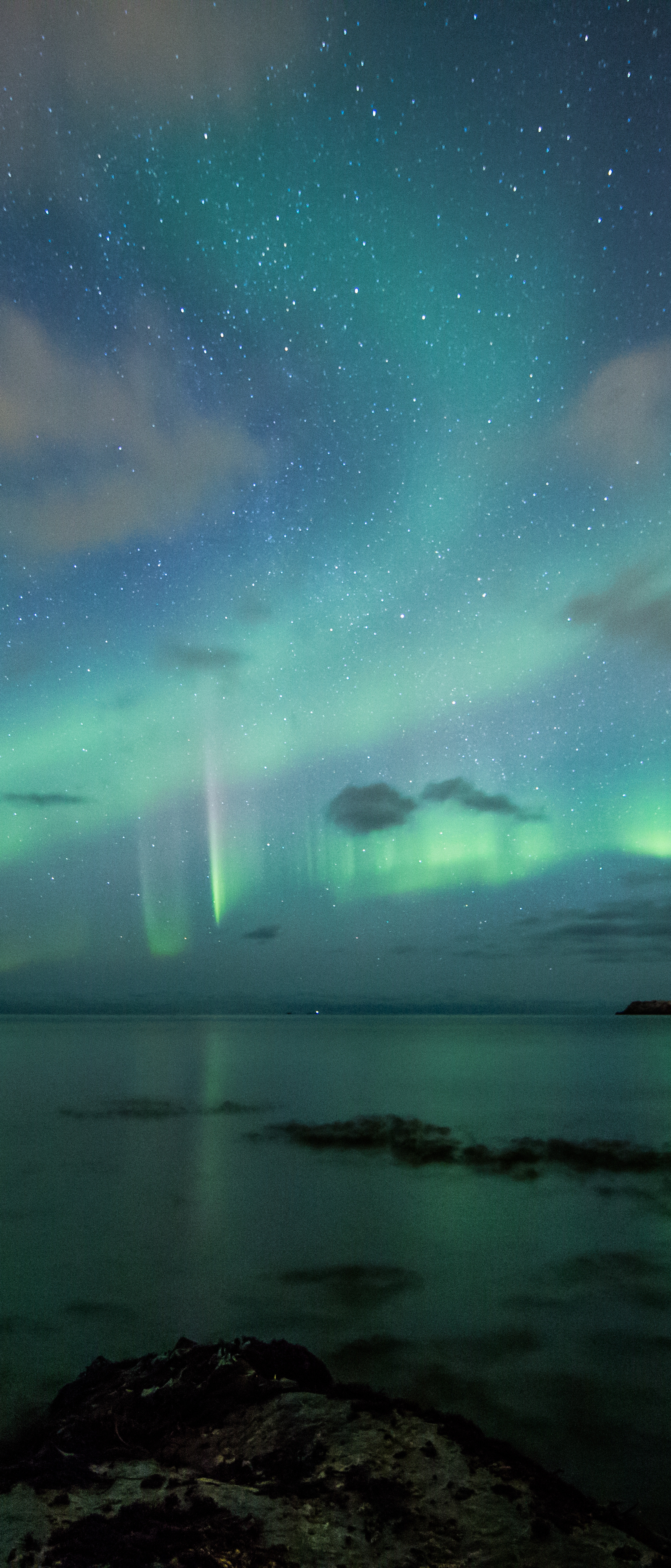 Download mobile wallpaper Nature, Sky, Horizon, Ocean, Earth, Aurora Borealis for free.