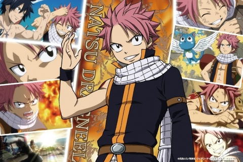 Free download wallpaper Anime, Fairy Tail, Natsu Dragneel, Gray Fullbuster, Happy (Fairy Tail) on your PC desktop